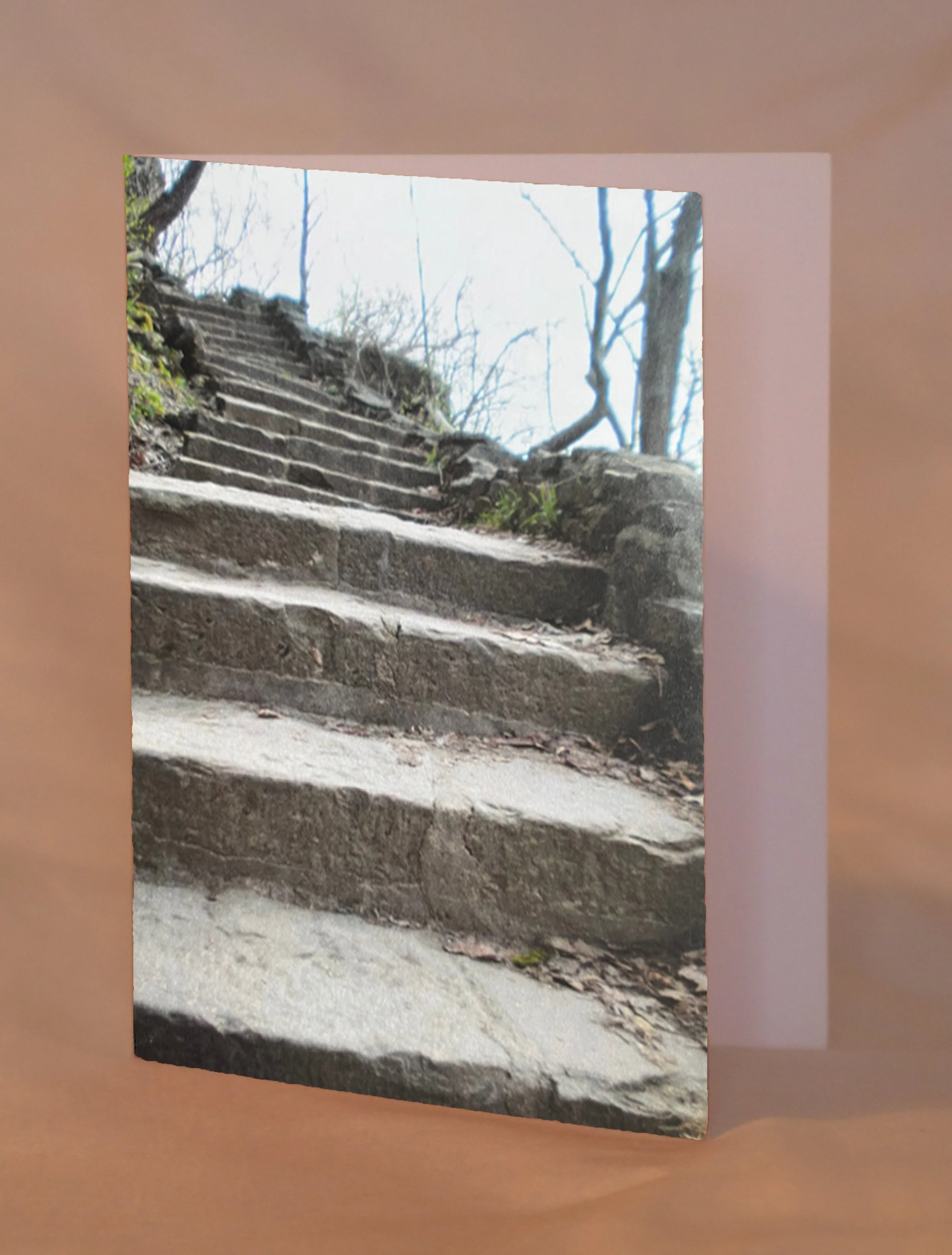 stoneStairway_placed.jpg