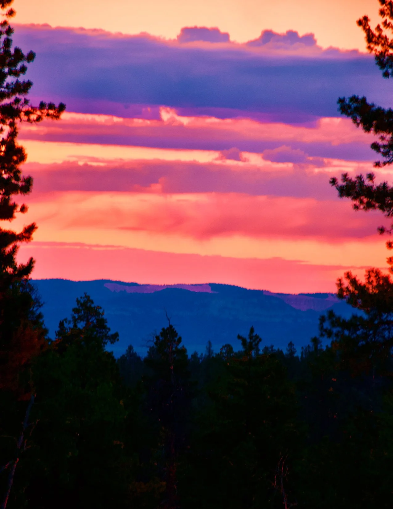 CabinSerenity_image.jpg