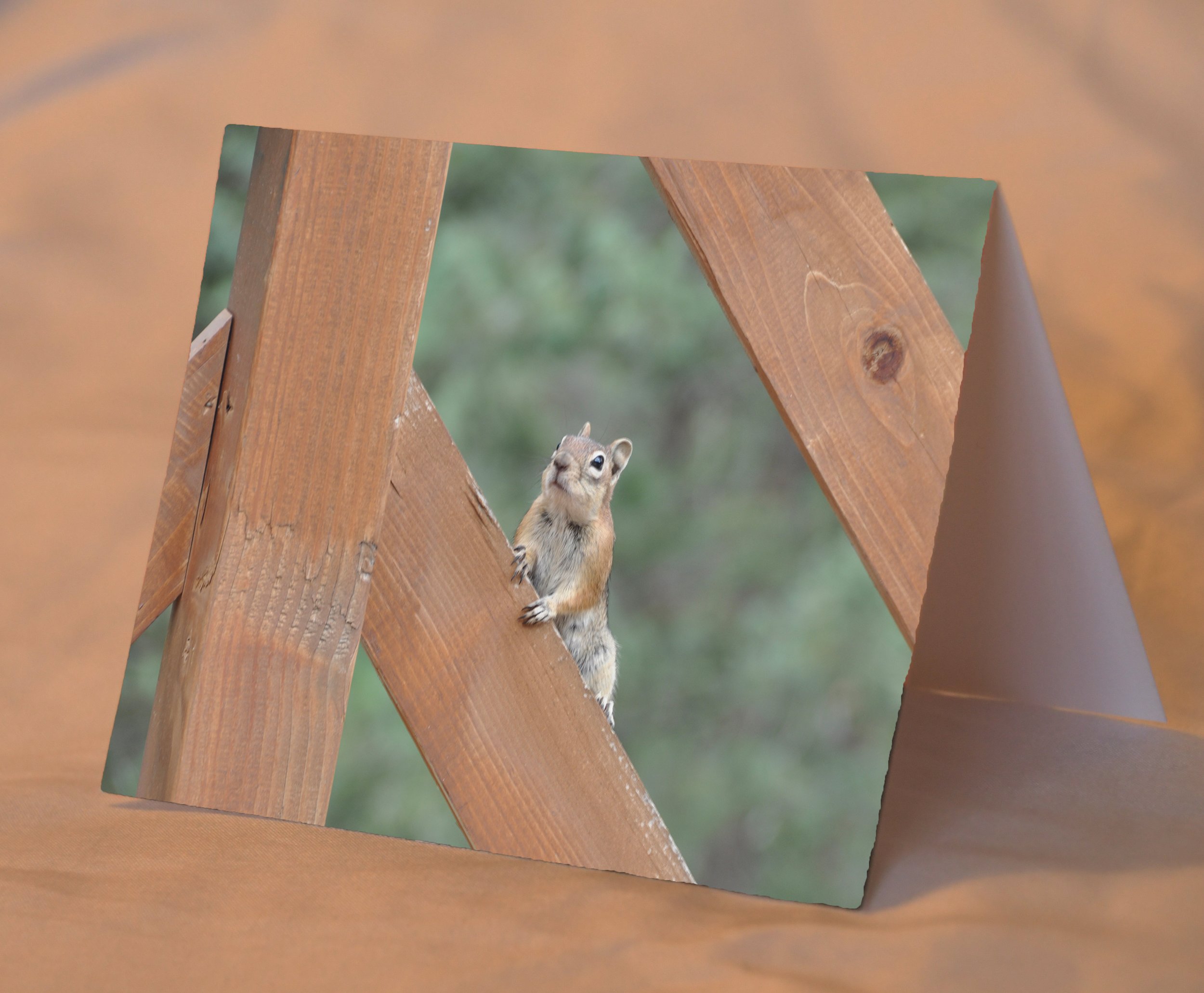 Chipmunk_placed.jpg