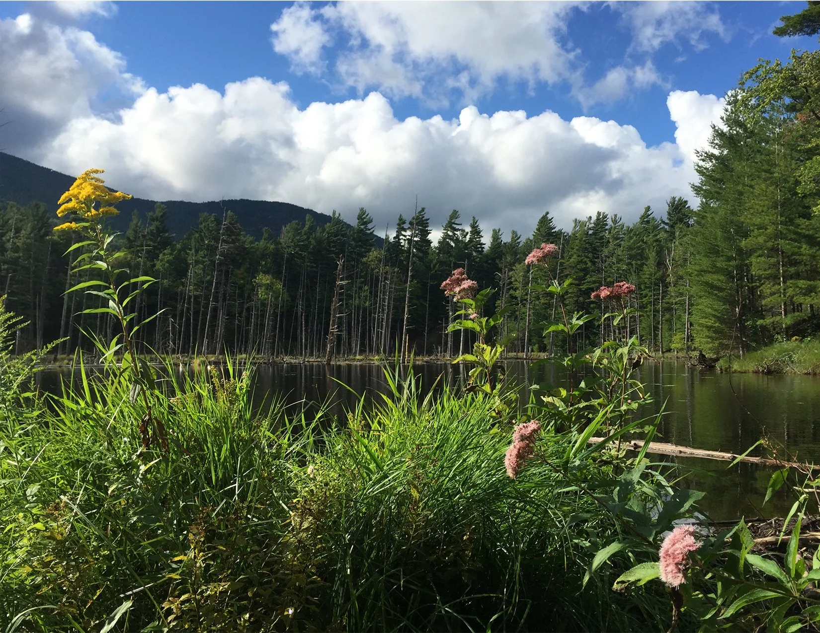 MountainLake_image.jpg