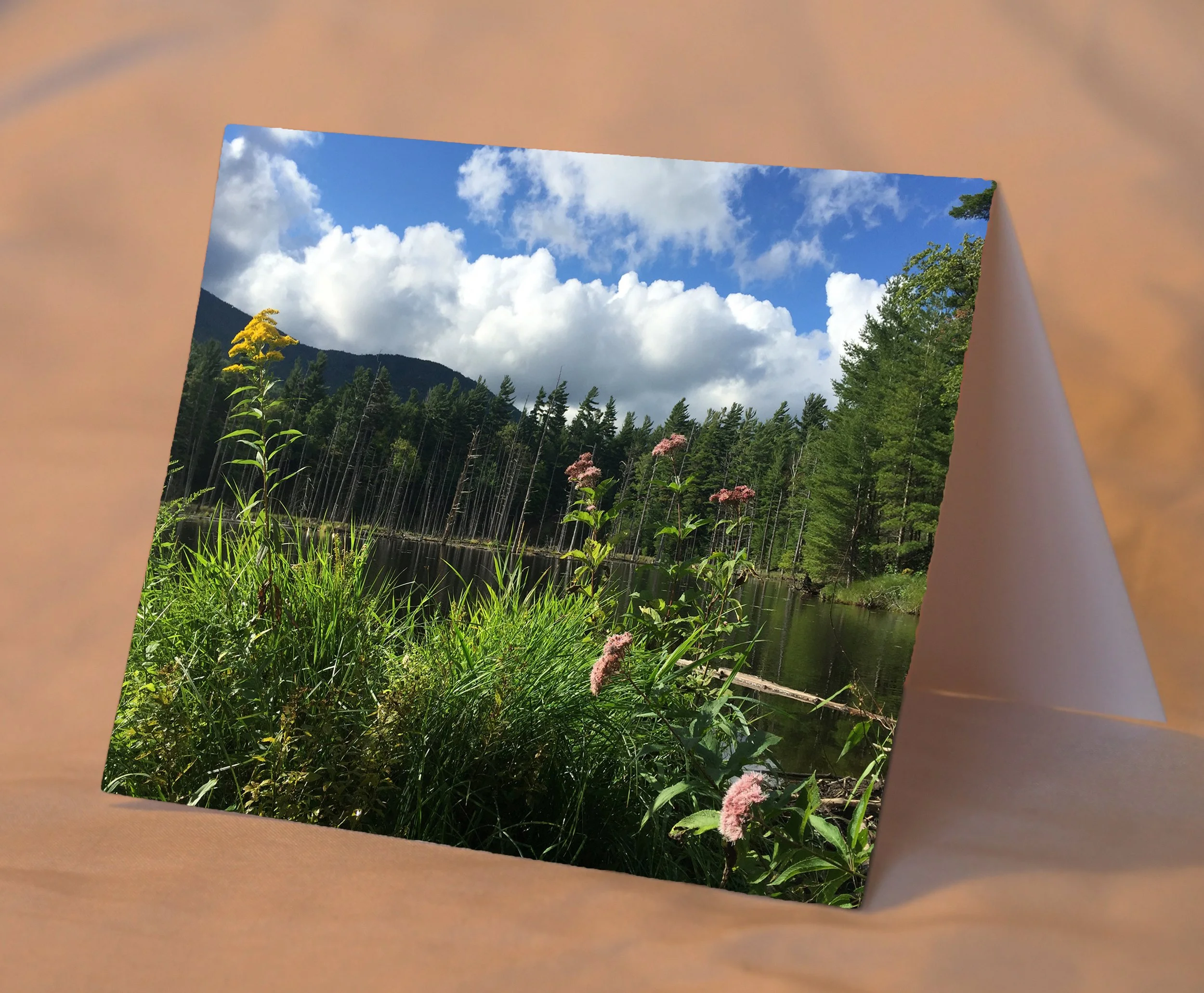 MountainLake_placed.jpg