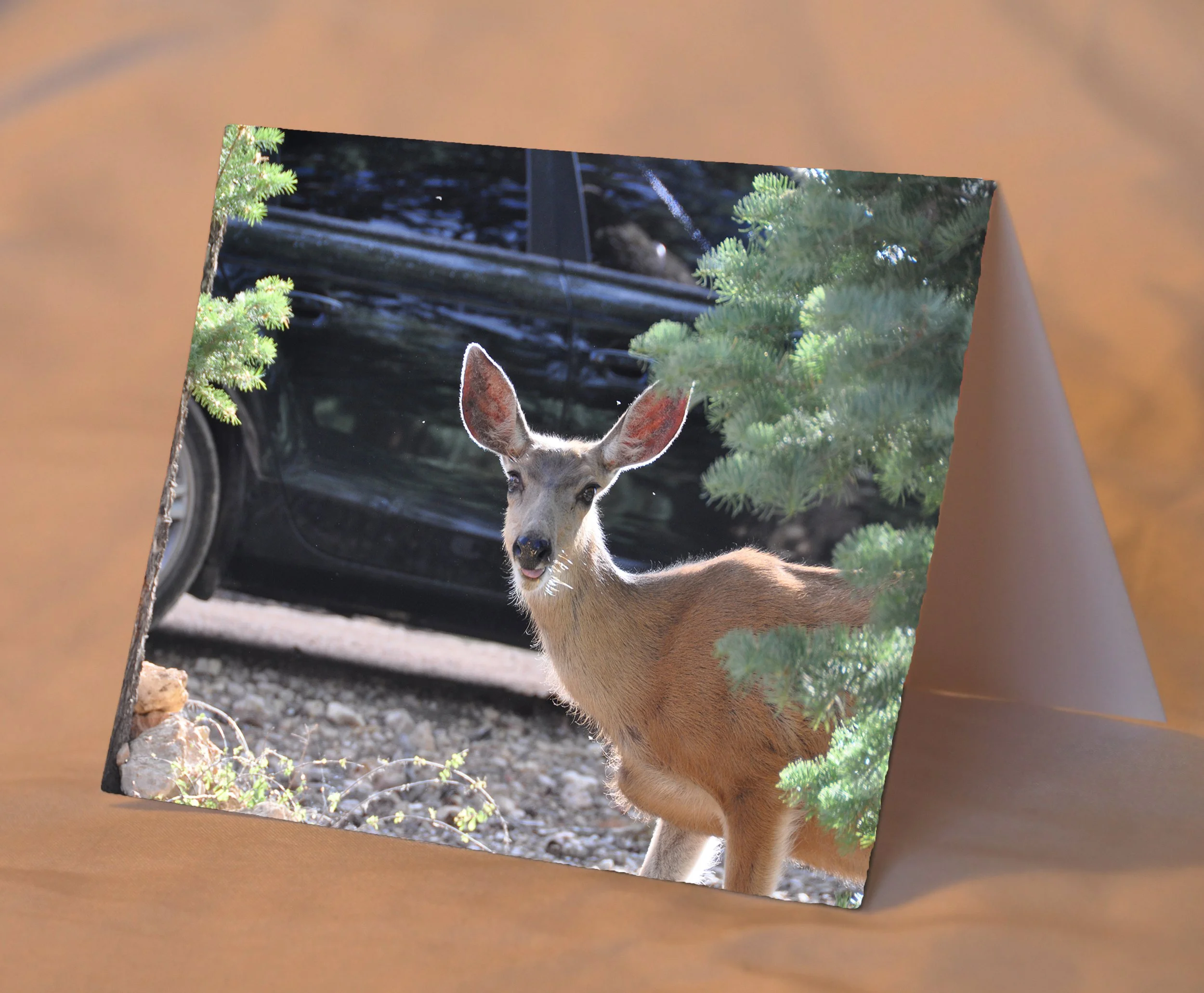 PeekingDeer_placed.jpg