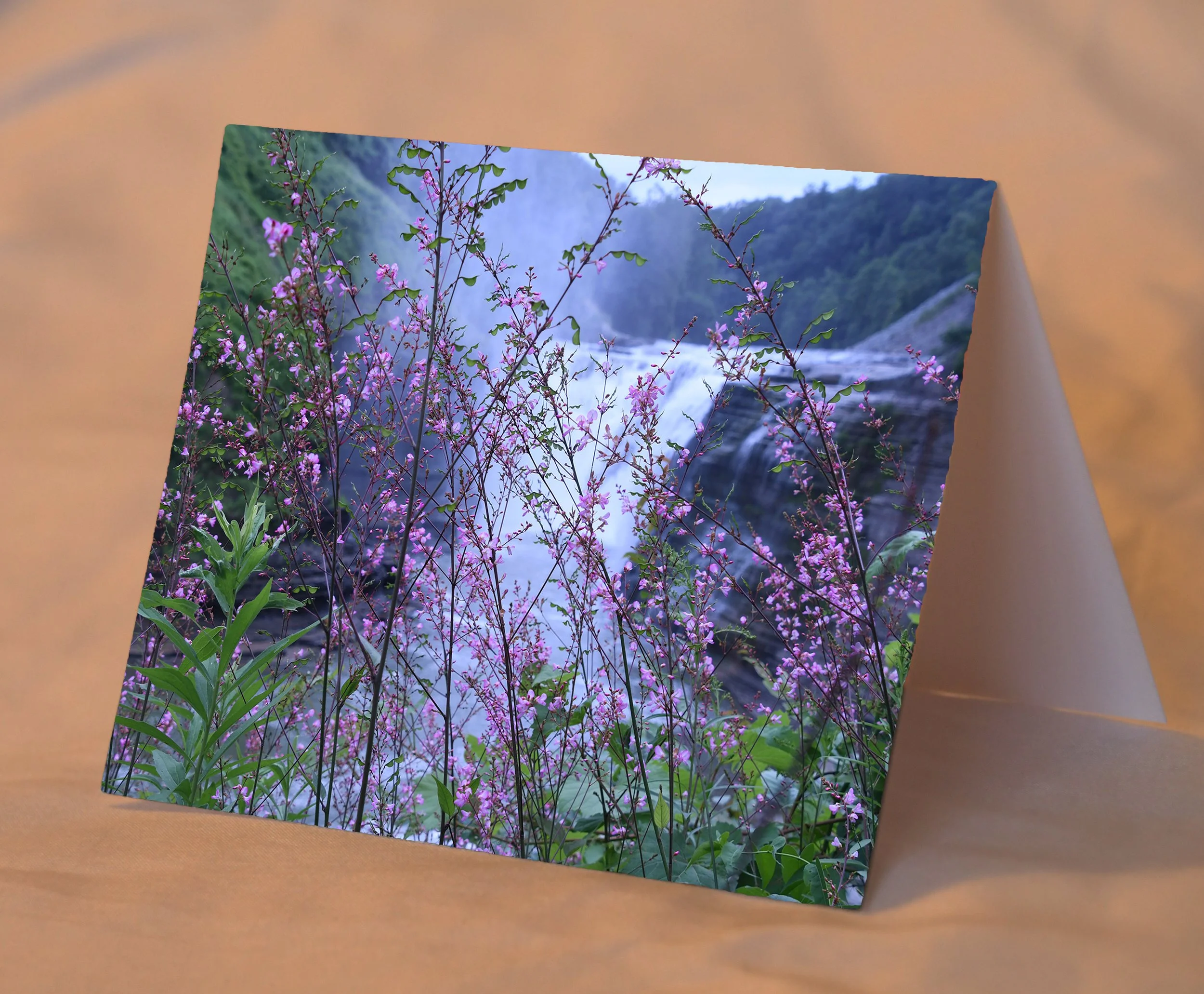 PurpleFlowersAtWaterfalls_placed.jpg
