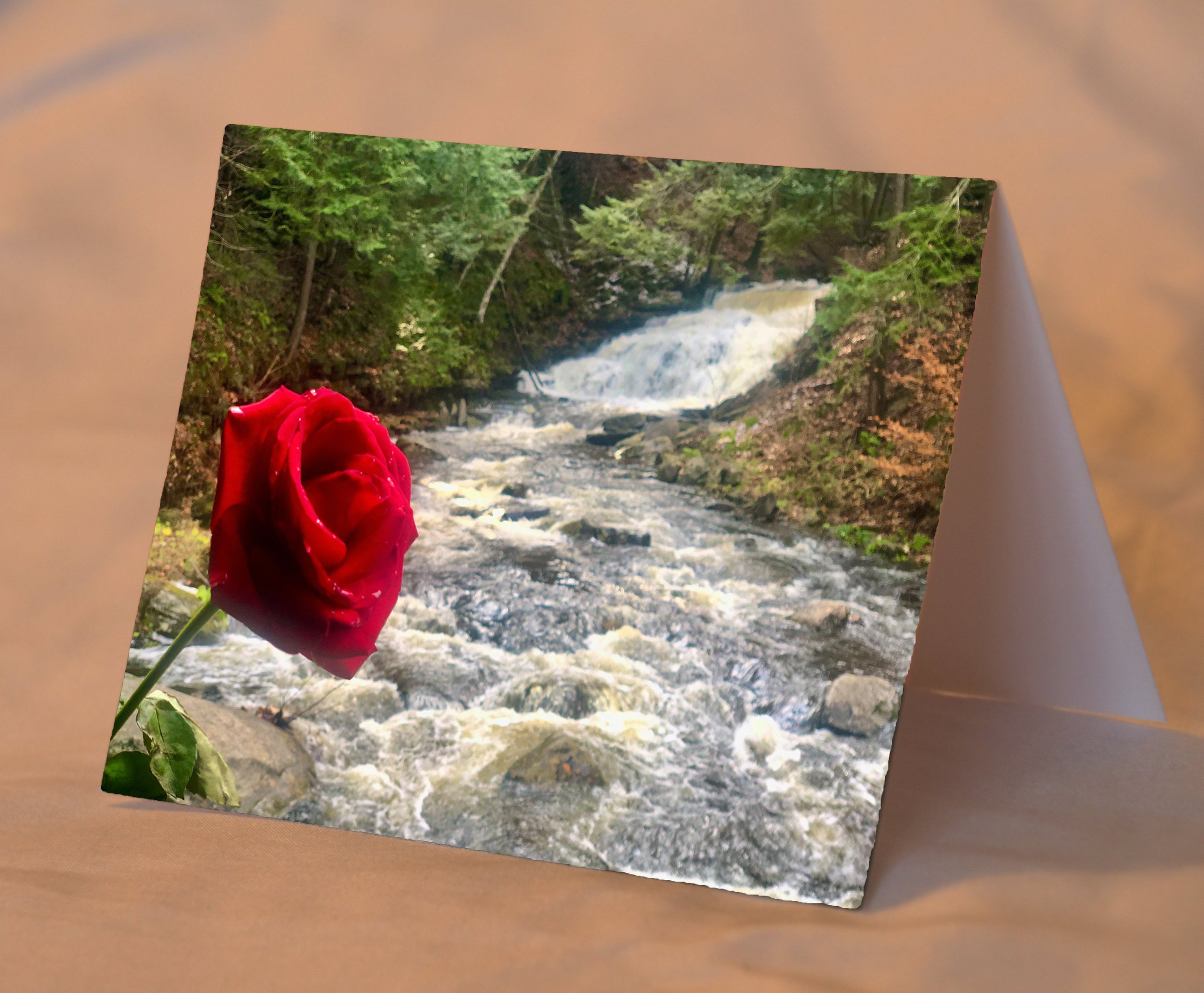 RoseOnRagingWaters_placed.jpg