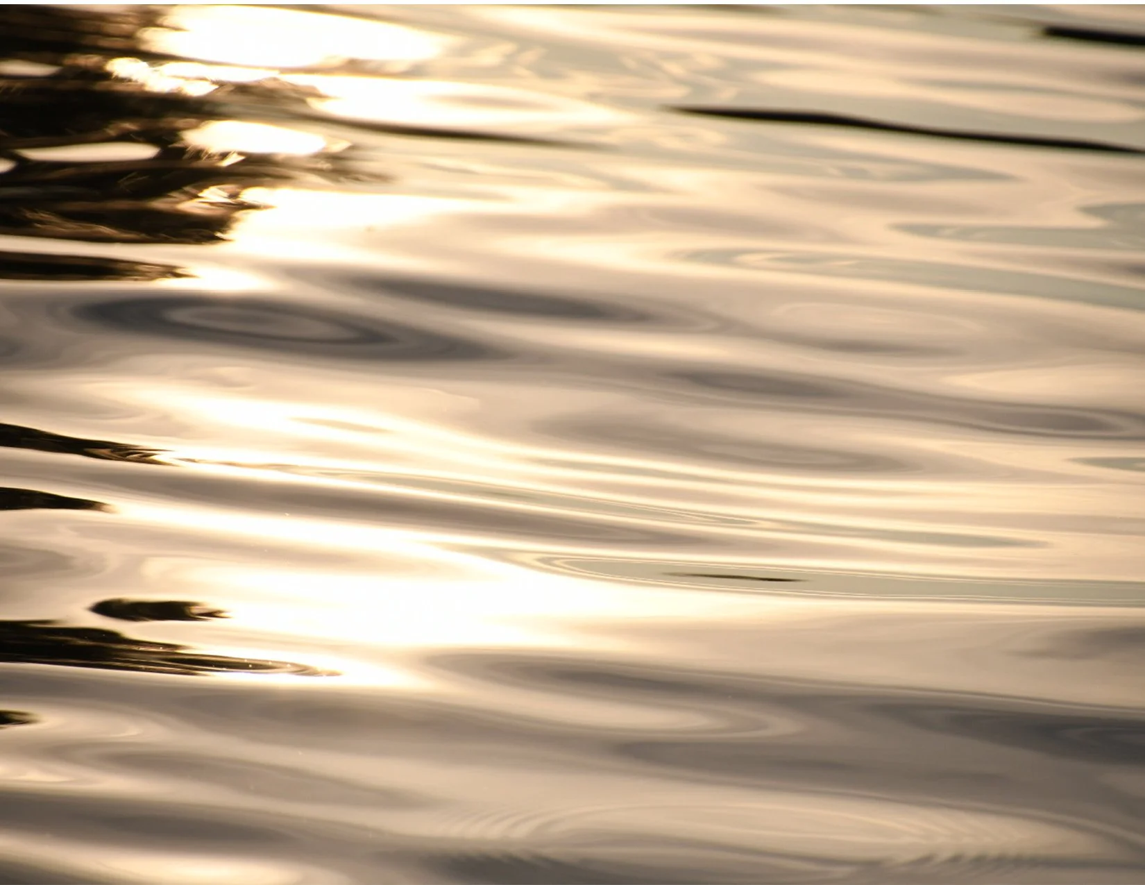 WaterRipples_image.jpg