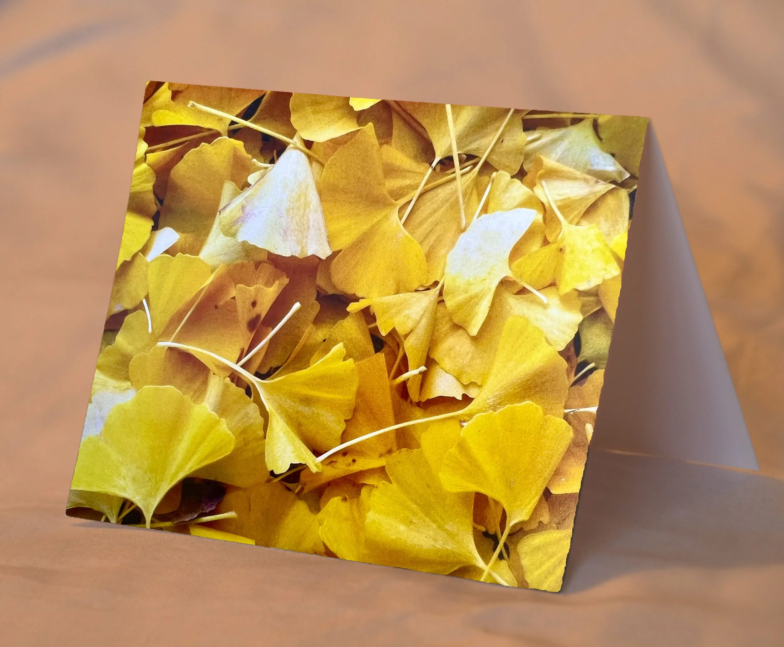 GoldenLeaves_placed.jpg