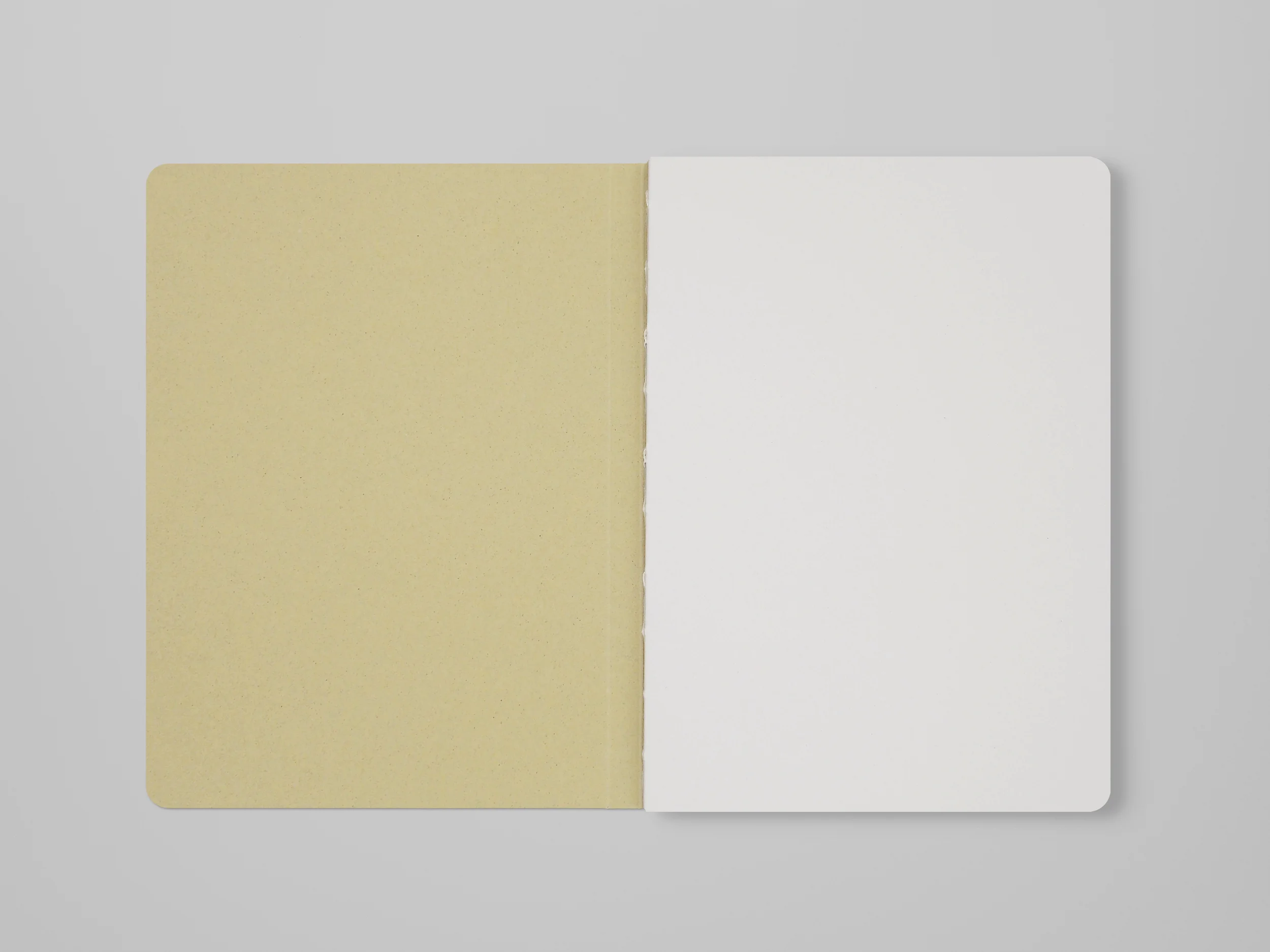 olive first page.jpg
