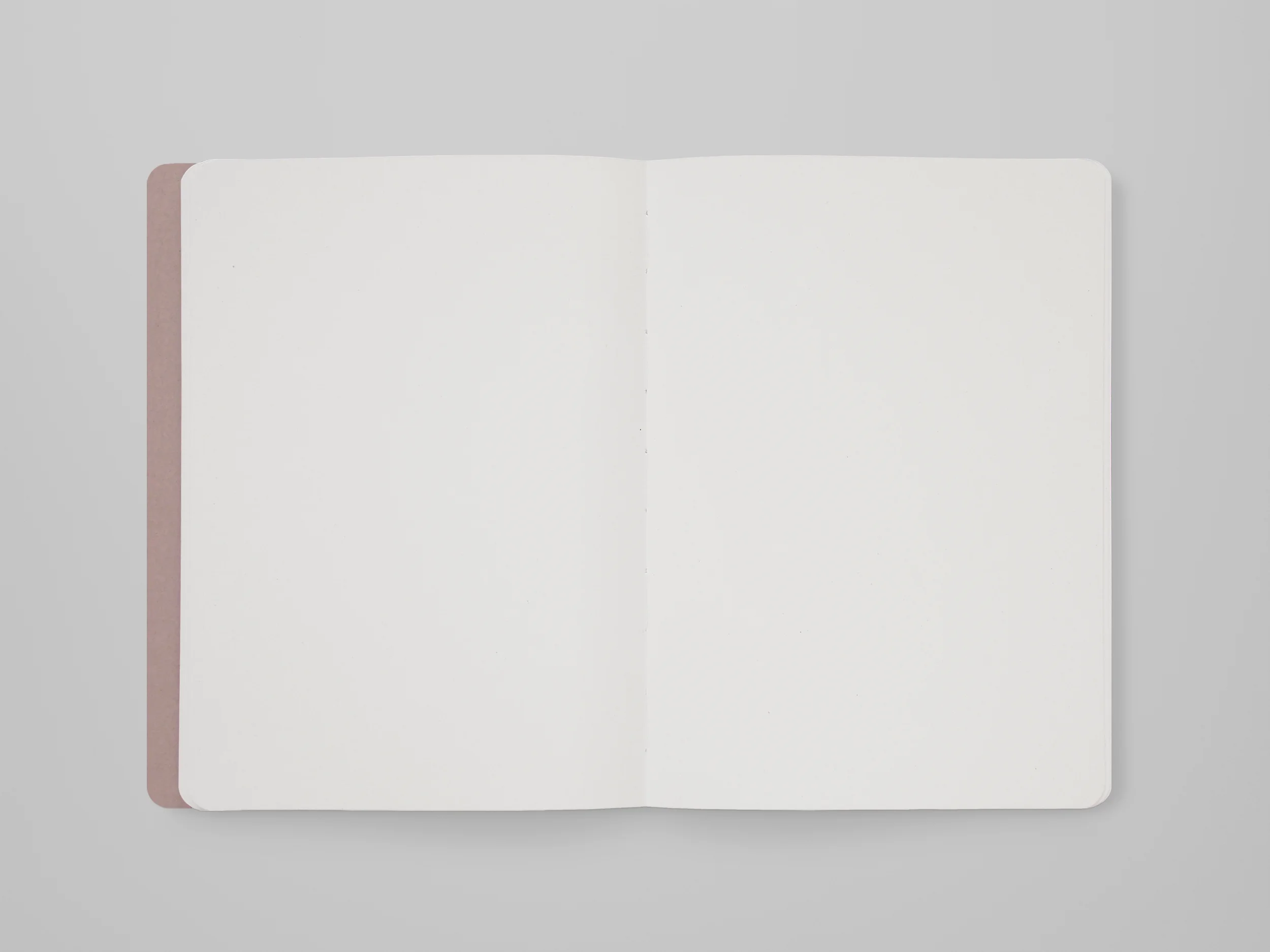 Almond middle blank.jpg