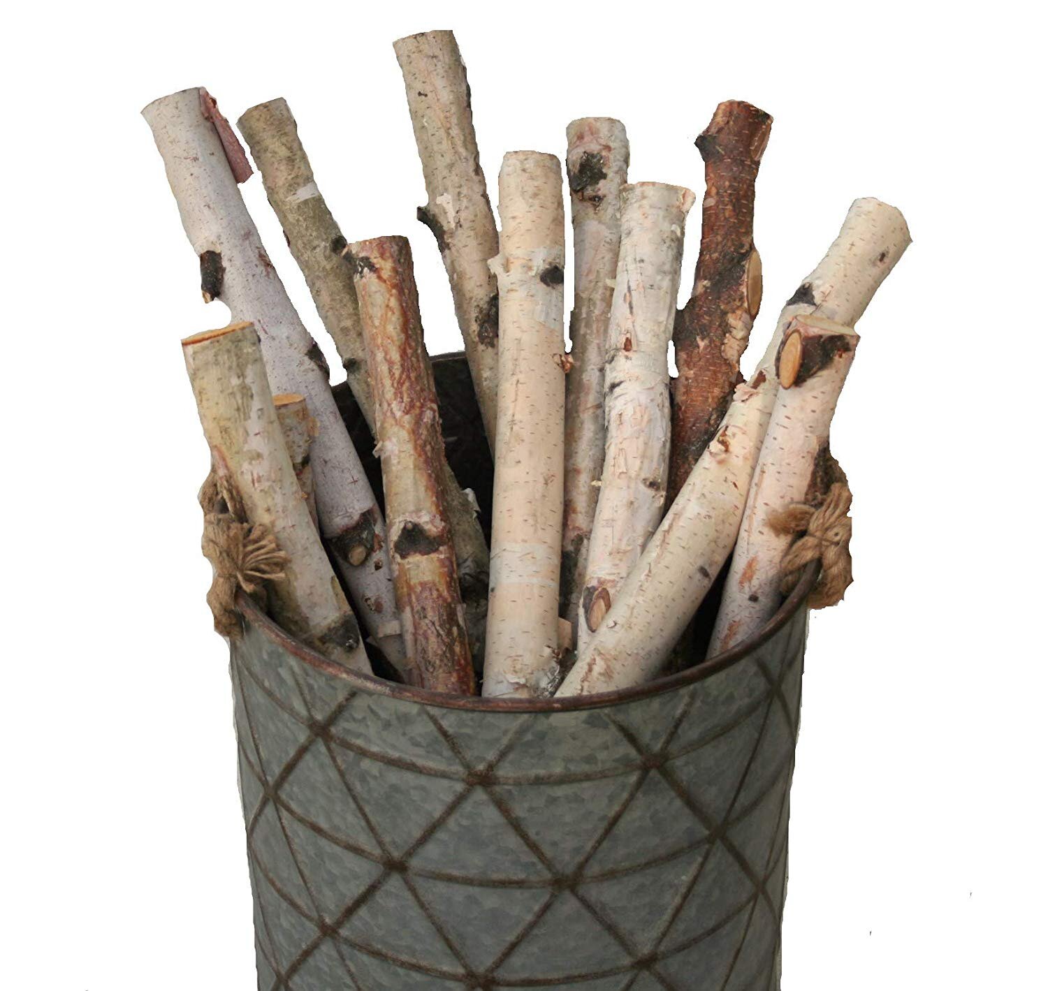 Birch logs.jpg