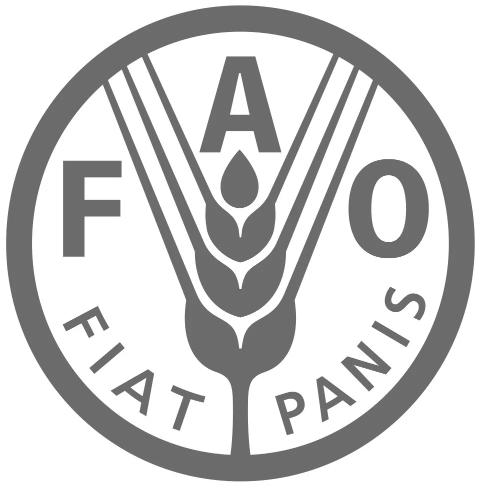 12_FAO_logo.jpg