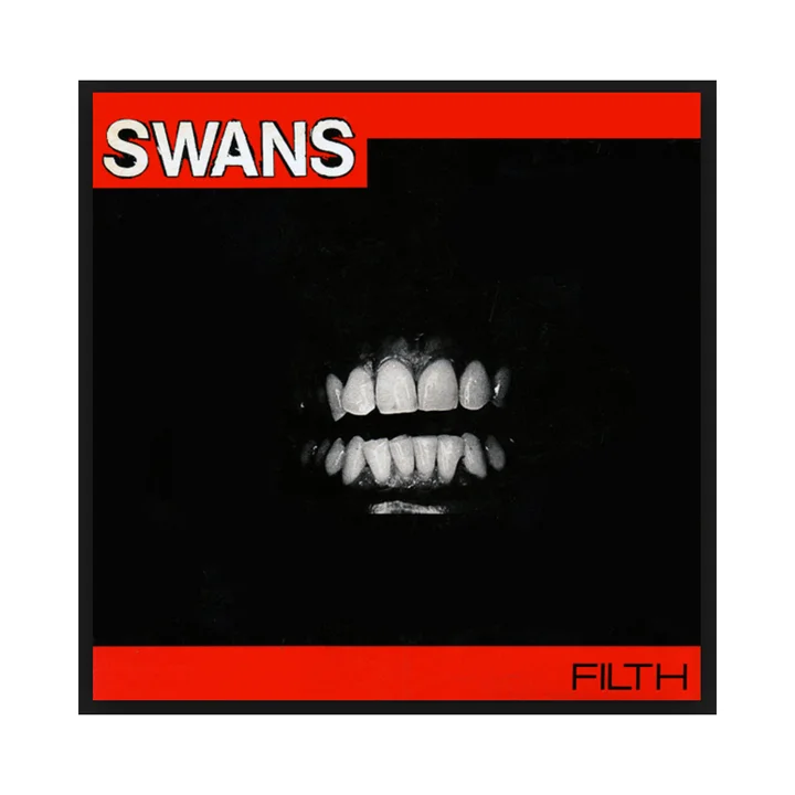 SWANS cover.jpg