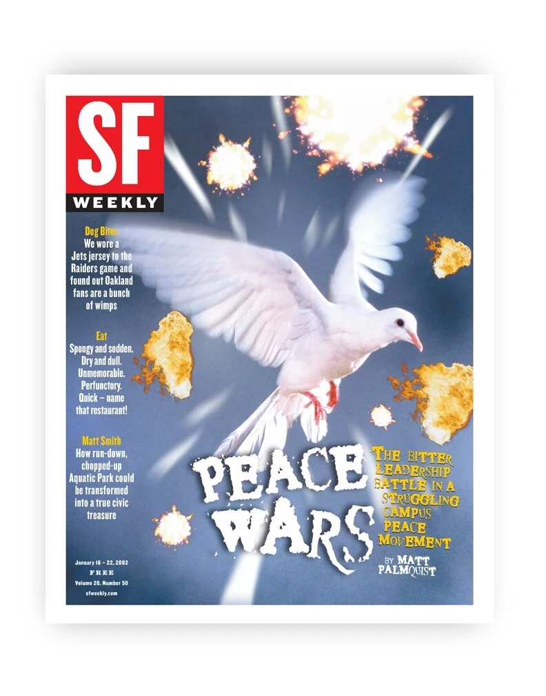 SF_new cover.jpg