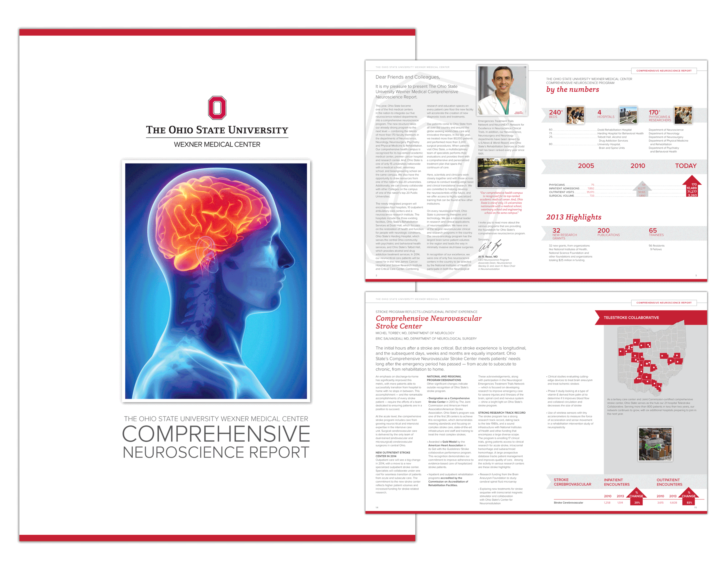 Neuro-report.gif