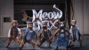 Meow Mix Tabby Five