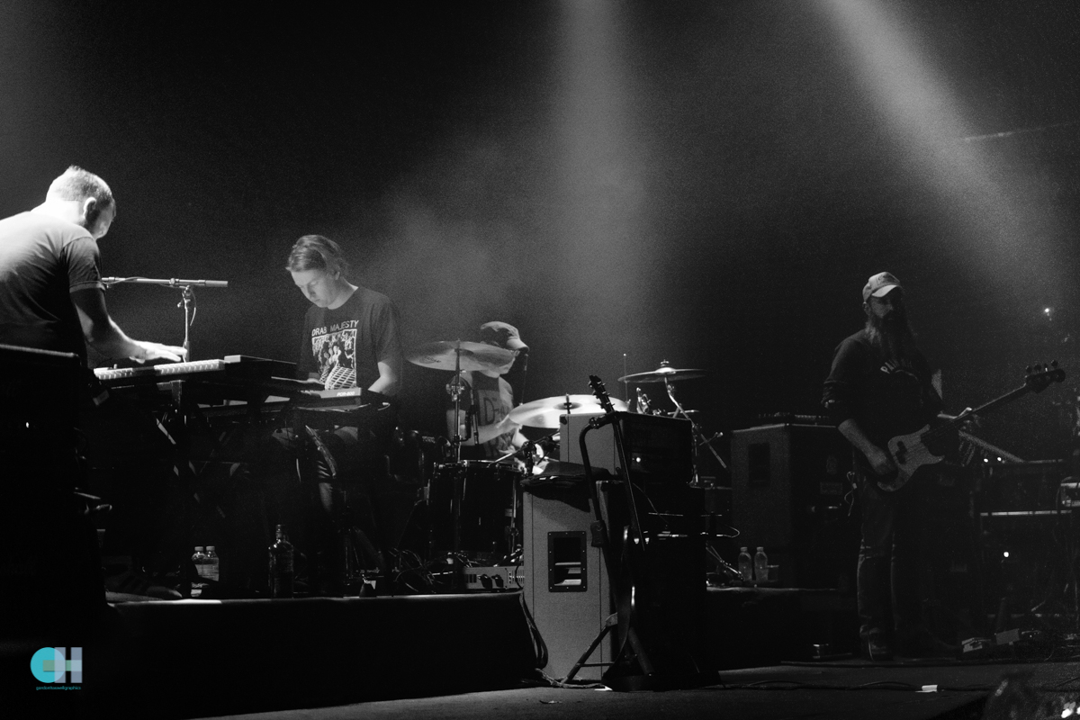 mogwai (1 of 14).jpg