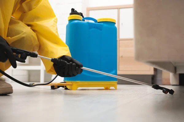 CASE STUDY: Effective Pest Control Solutions for Large Retail Chain