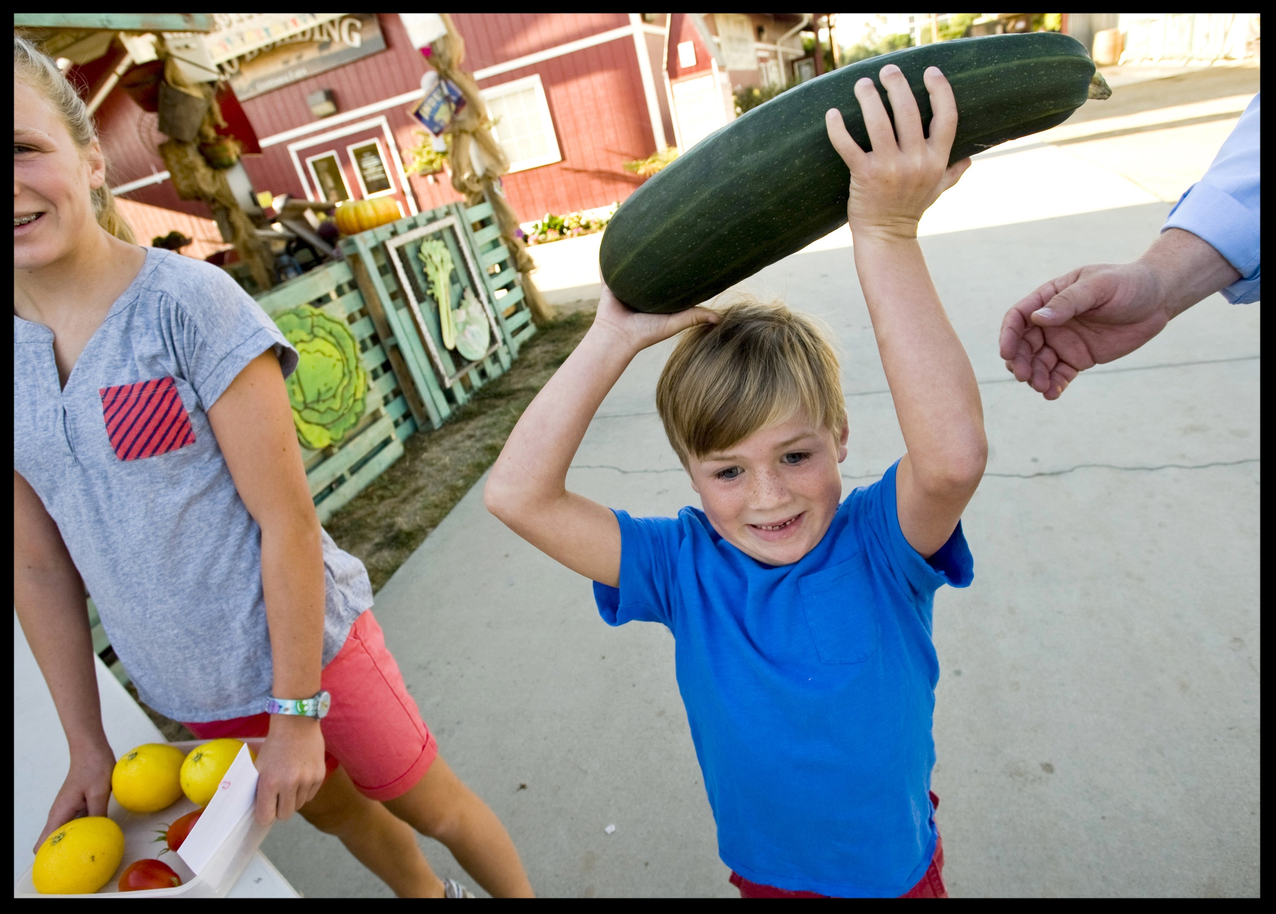 Graeme Sorenson, 6, of Huntington Beach lifts his oversized zucchini he is entering at the fair and says, "I would say it weighs 29 pounds." His sister, Isabella Sorensen, 13, entering lemons, was a bit more skeptical. For a story on the off days at the Orange County Fair.