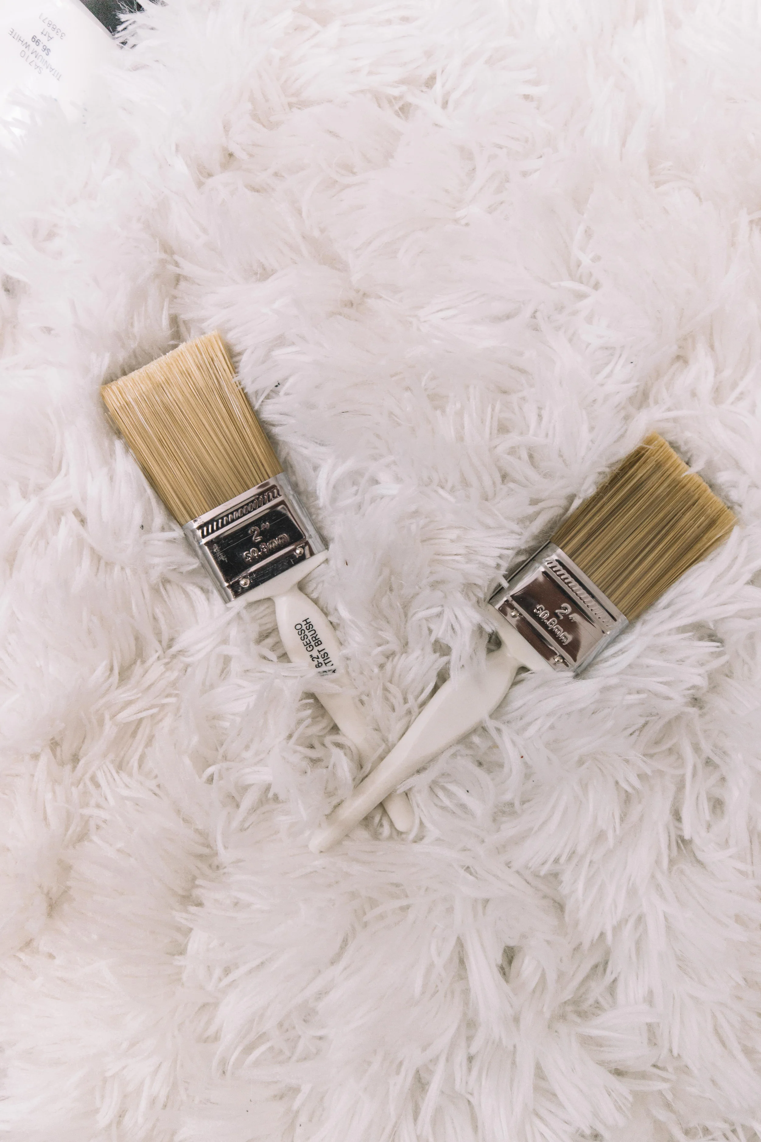 MaddyCorbinBrushes.jpg
