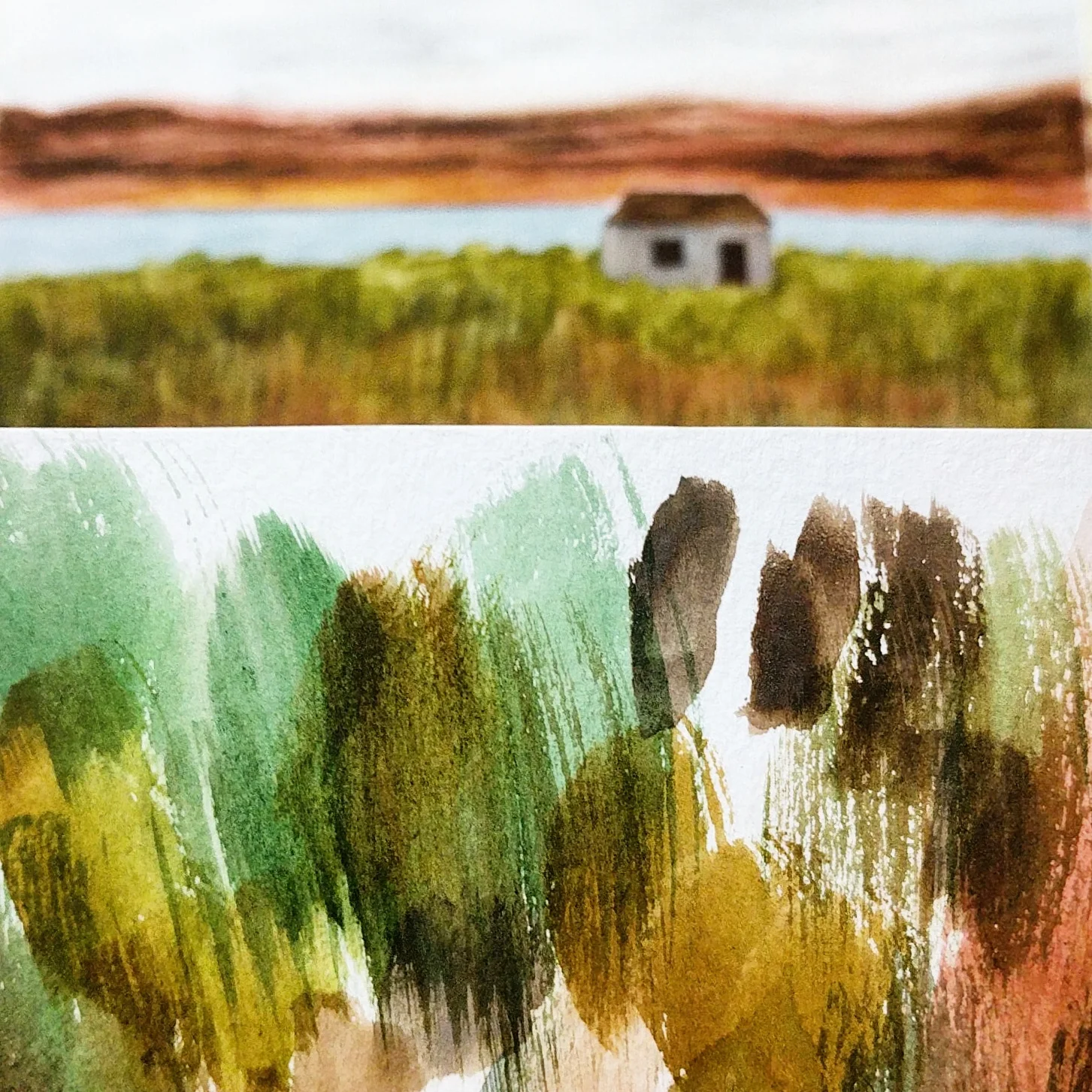 landscape_blog.jpg