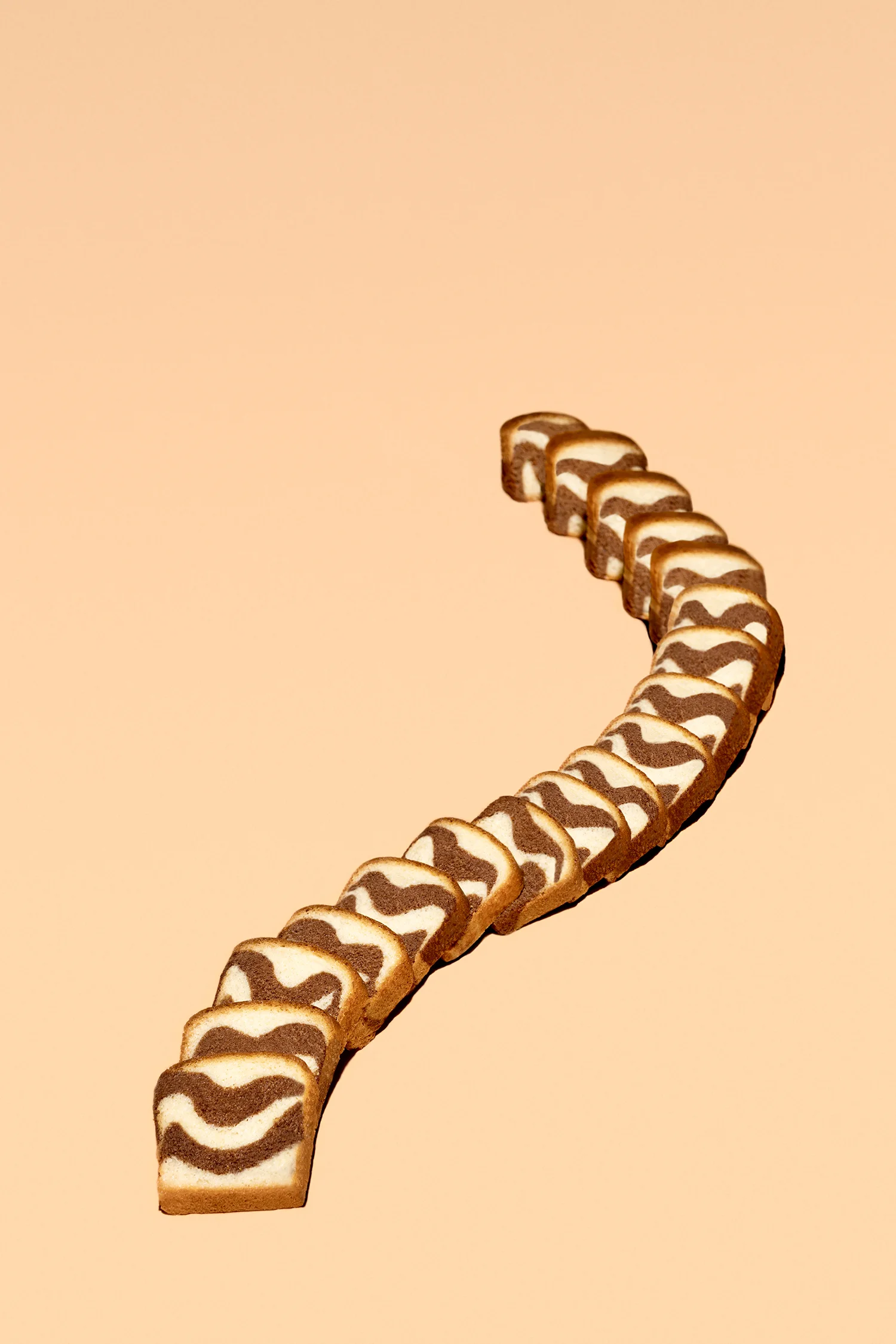 SAVANE.jpg