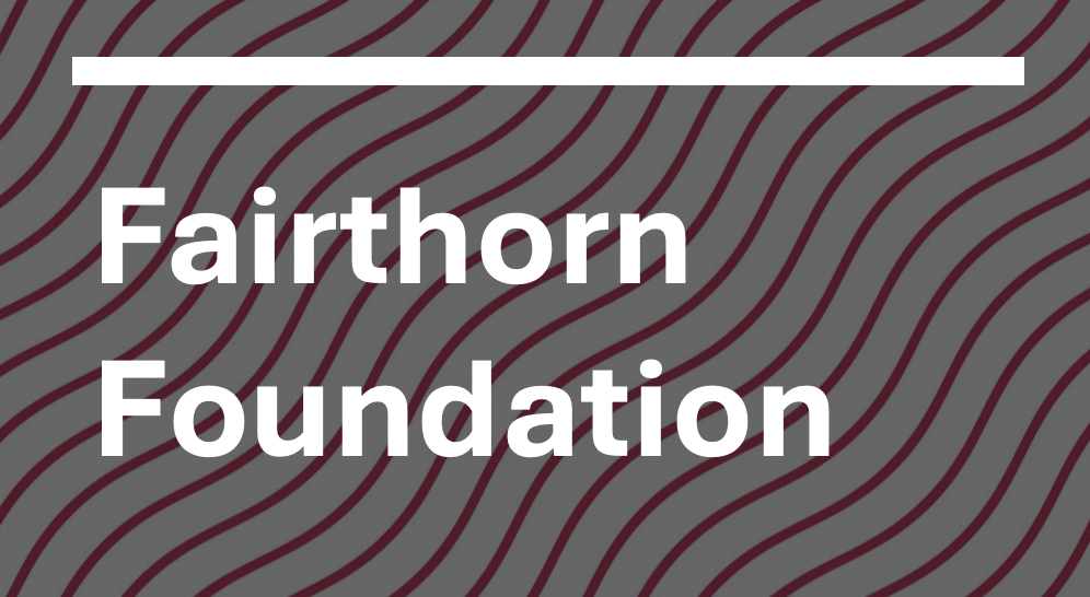 The Fairthorn Foundation doesn't have a logo so we made an image with their name against a backdrop of wavy lines
