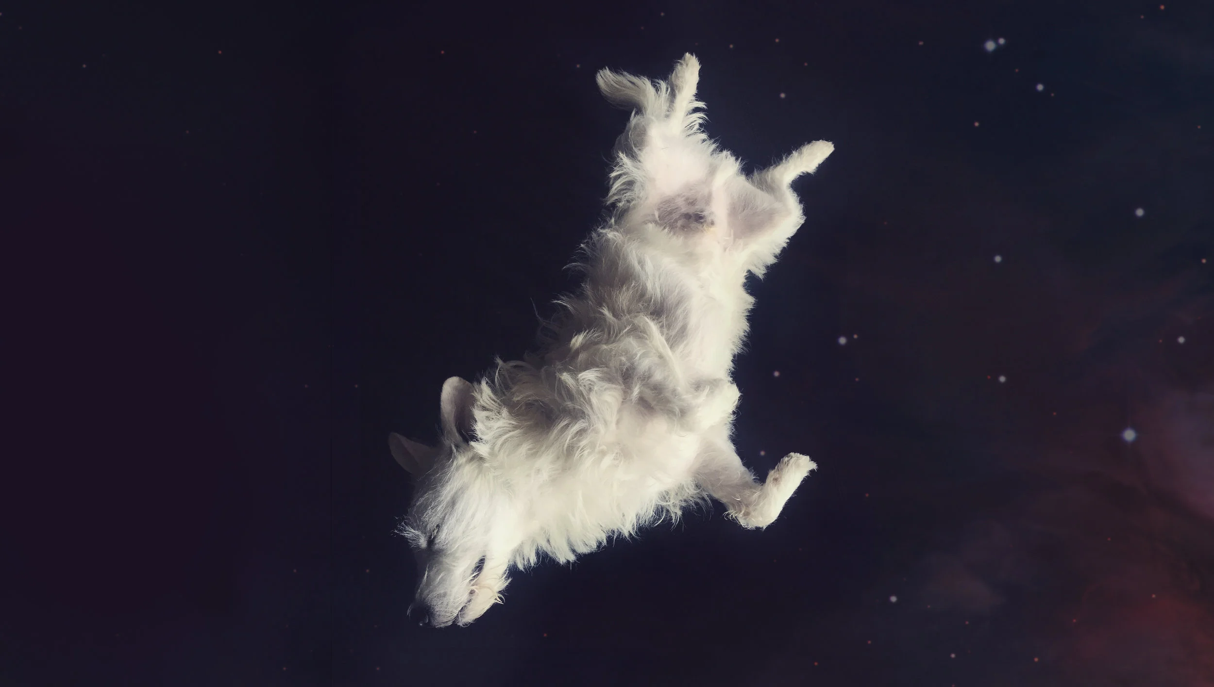 spacebowie2.jpg