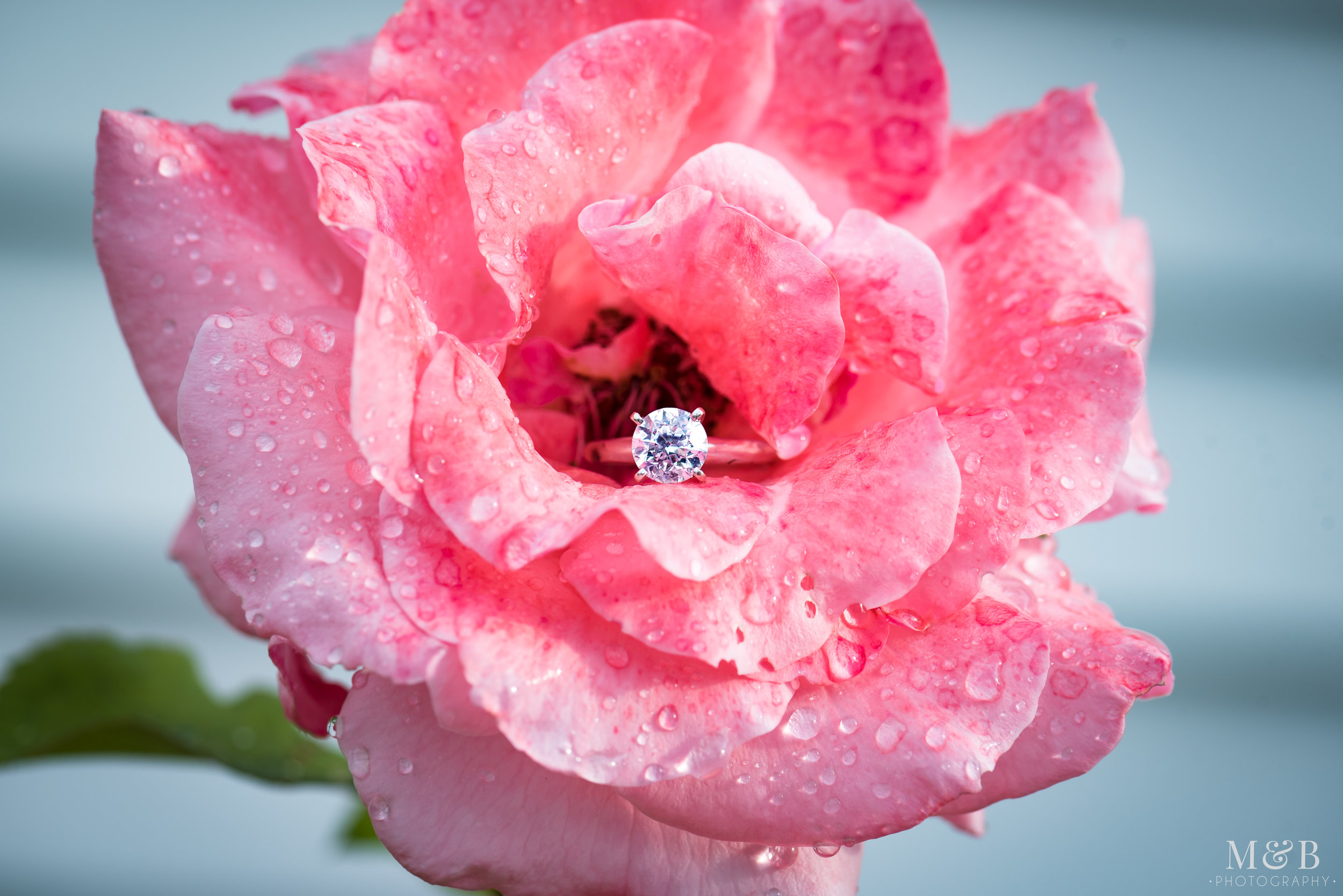 Sarah_Duane_Wedding_SP_0001.jpg