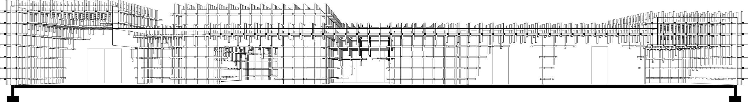 long section.jpg