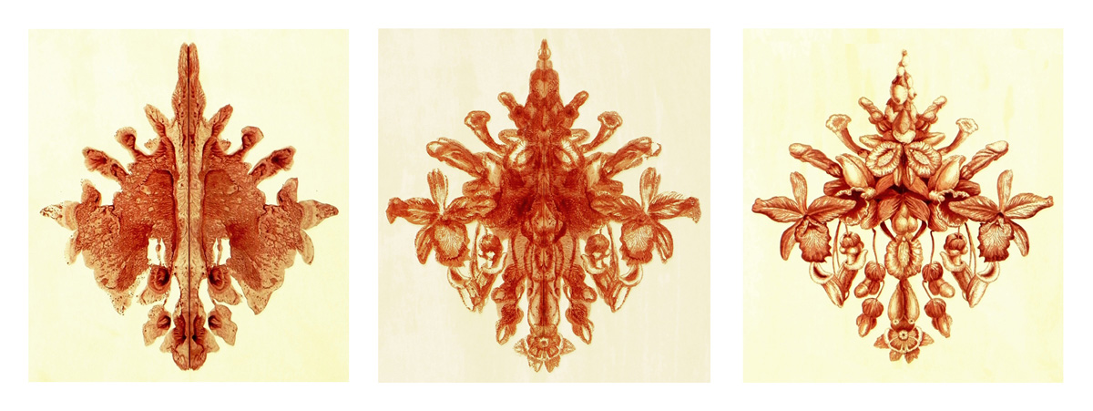 Robert Sherer Rorschach Triptych blood of virgins on paper 27 x 24 inches RSH 002G.jpg