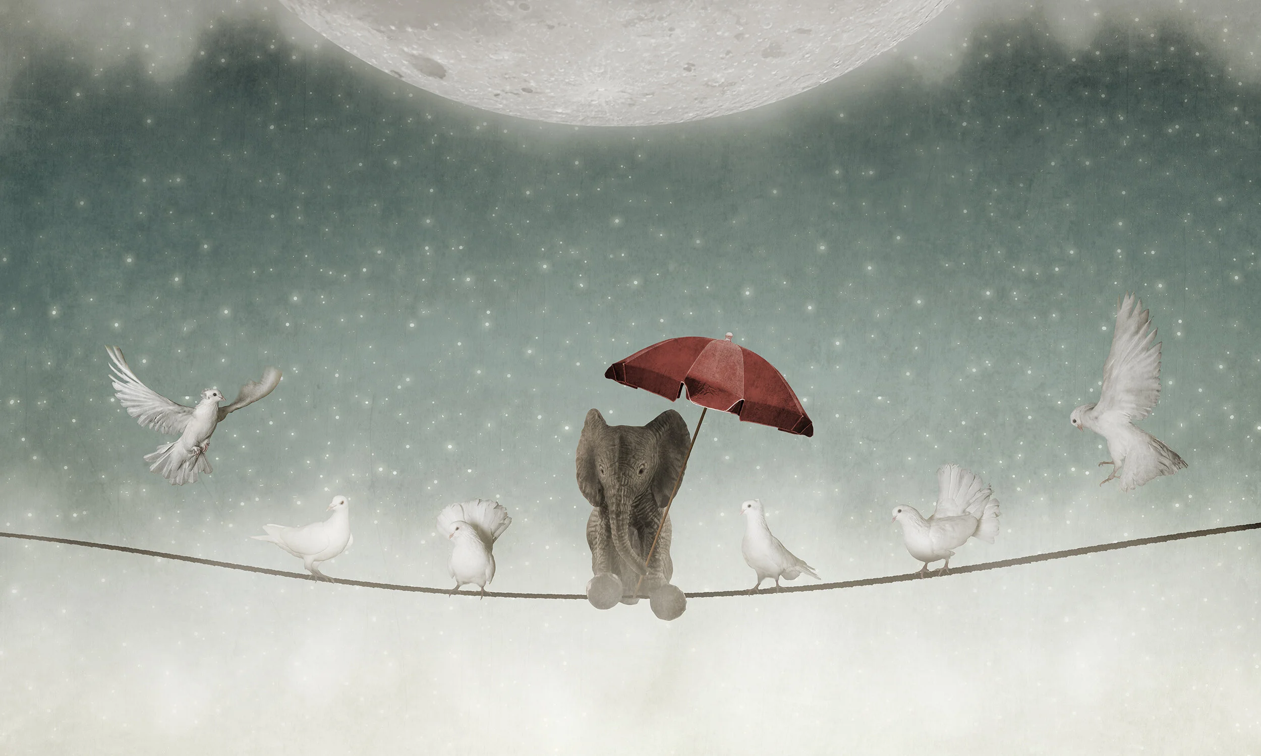   IMAGINE 2020  January 17 - March 6  see more  