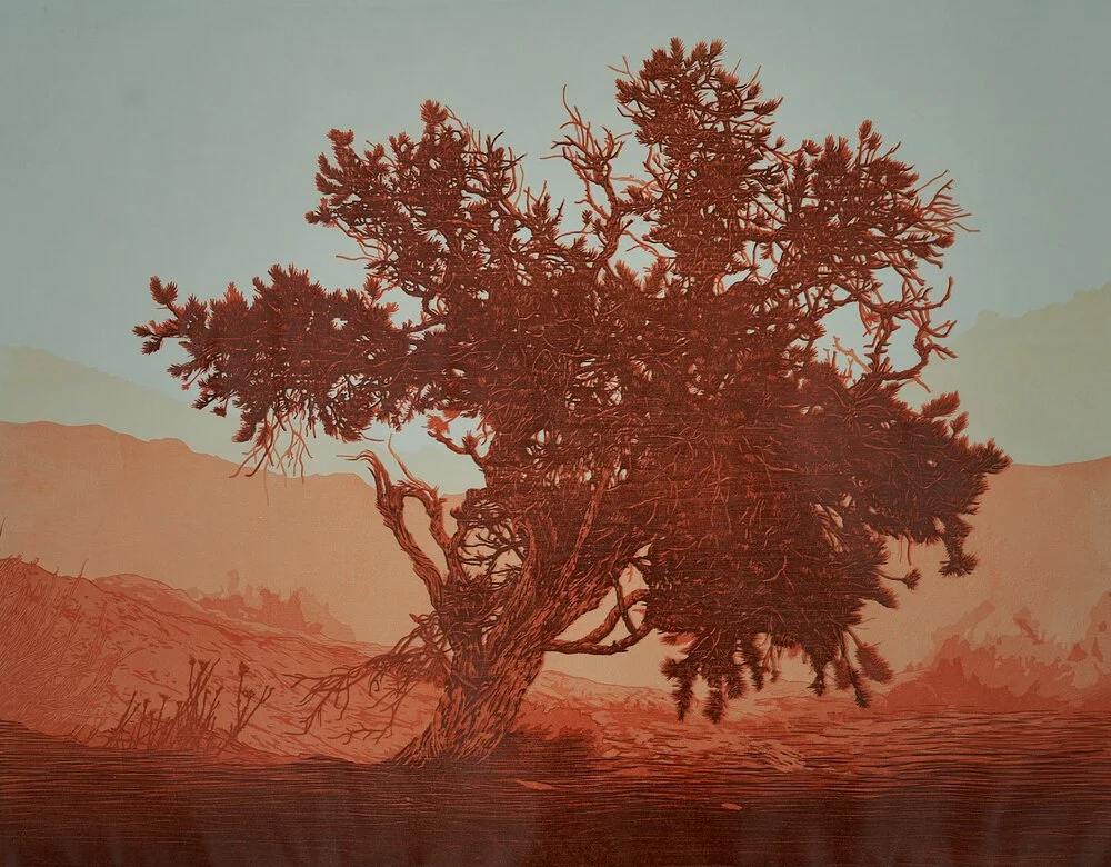 Juniper+3,+Grand+Staircase+-+Escalante+National+Monument,+Utah+from+Sentinels;+Todd+Anderson+Reductive+woodcut+4+of+6.jpg