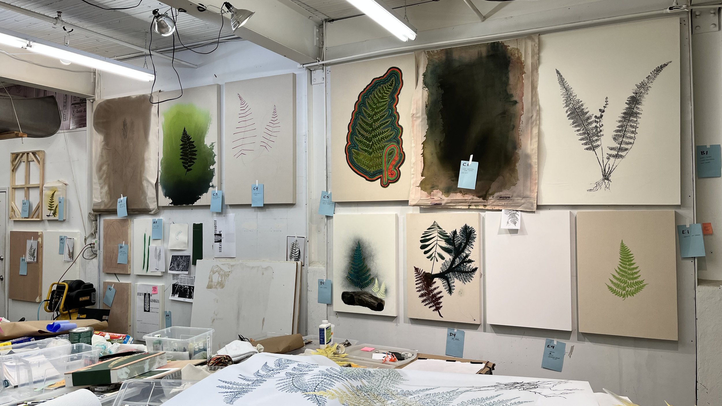 HOW TO KNOW THE FERNS :: a solo exhibition featuring Steven L. Anderson