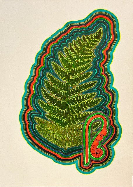   How to Know the Ferns  a solo exhibition featuring Steven L. Anderson  see more  