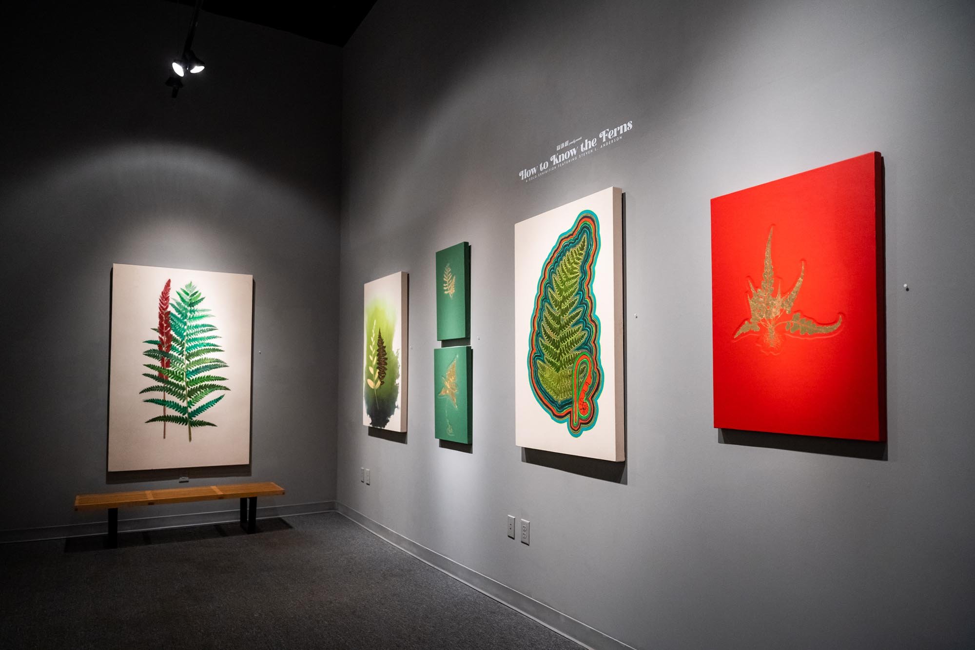   The Art of Steven L. Anderson  ”How to Know Ferns” now on exhibition  see more  