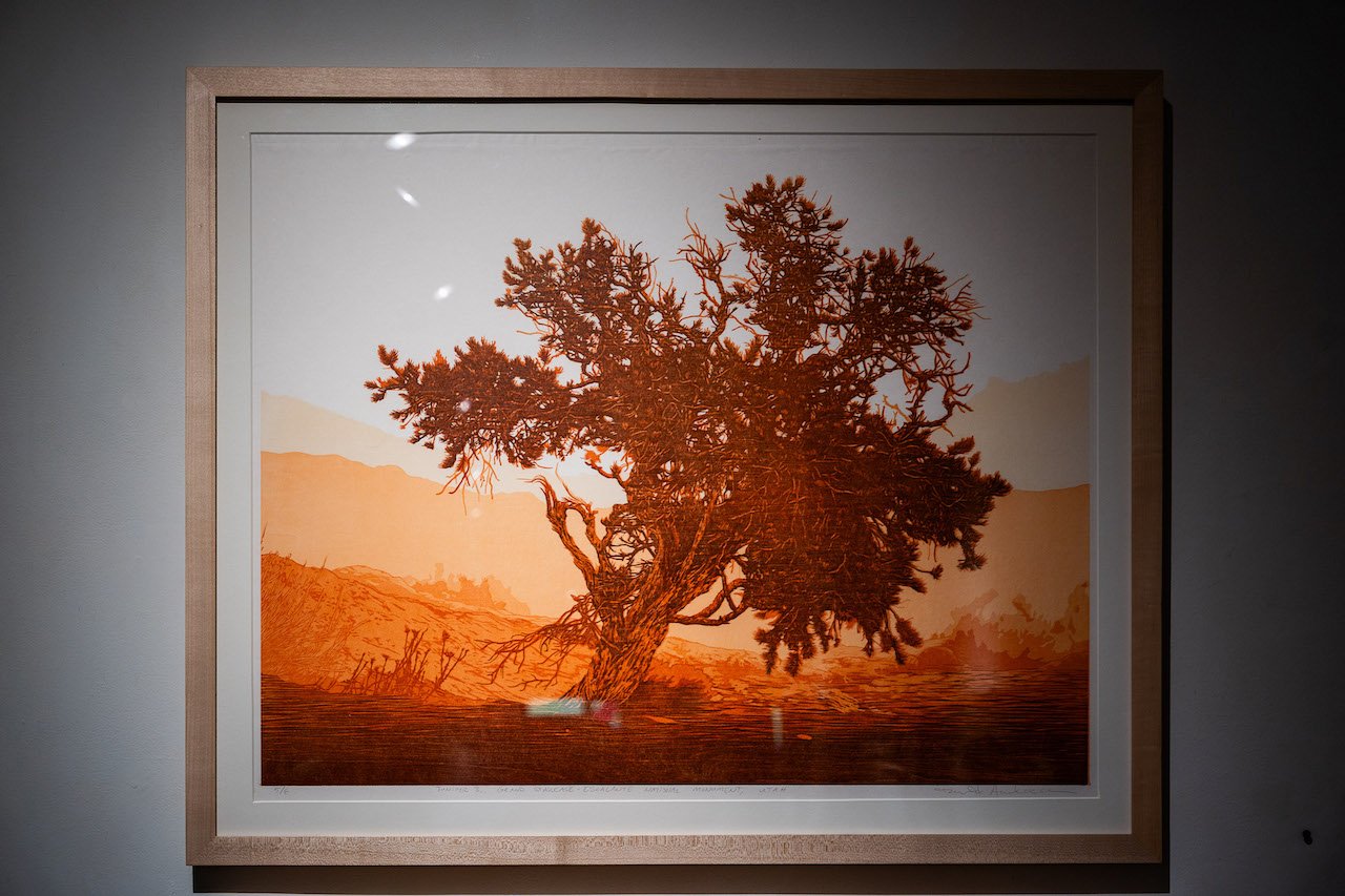 Todd Anderson - Juniper 3, Grand Staircase - Escalante National Monument, Utah from Sentinels