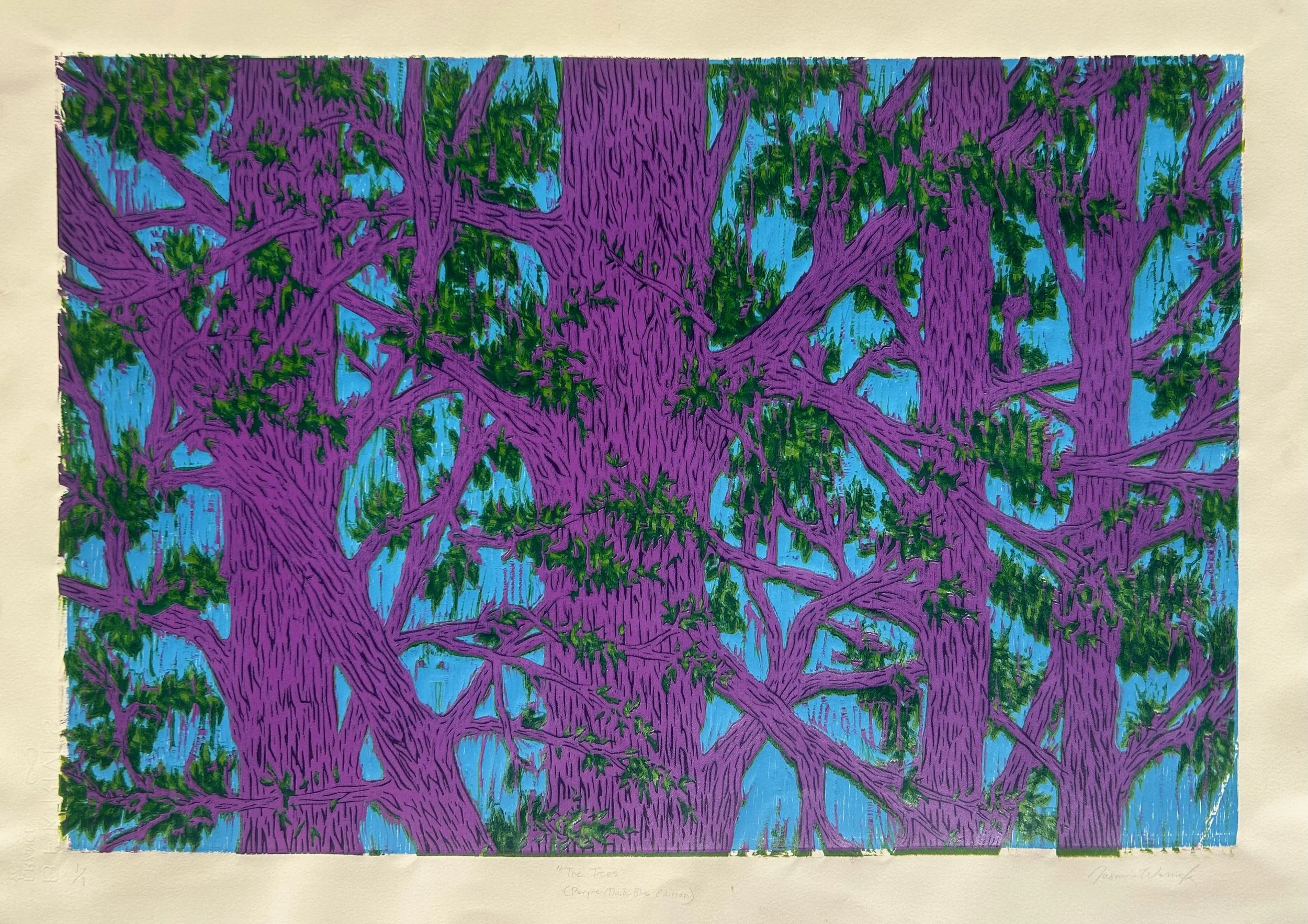 The New South 6 :: January 31 - March 7