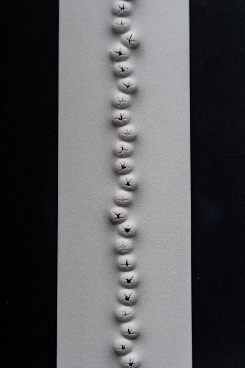 0066 Kai Lin Art OBJECTS-VAL02607.jpeg