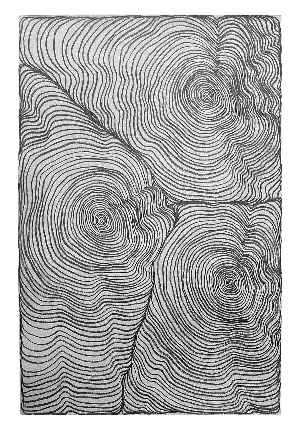 StevenLAnderson_GrowingTogether#1.jpg