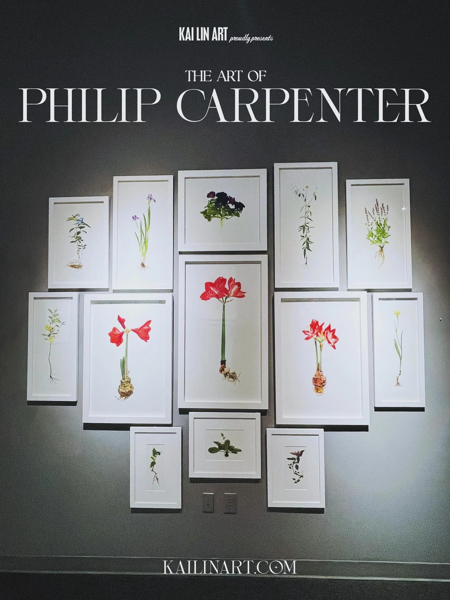 The #botanical art of @flipsartwork Philip Carpenter for  #mythos now on exhibit @kailinart 

https://www.kailinart.com/news/mythos-carpenter

Philip Carpenter&rsquo;s Mythos unfolds as a quiet meditation on beauty and impermanence, told through twen