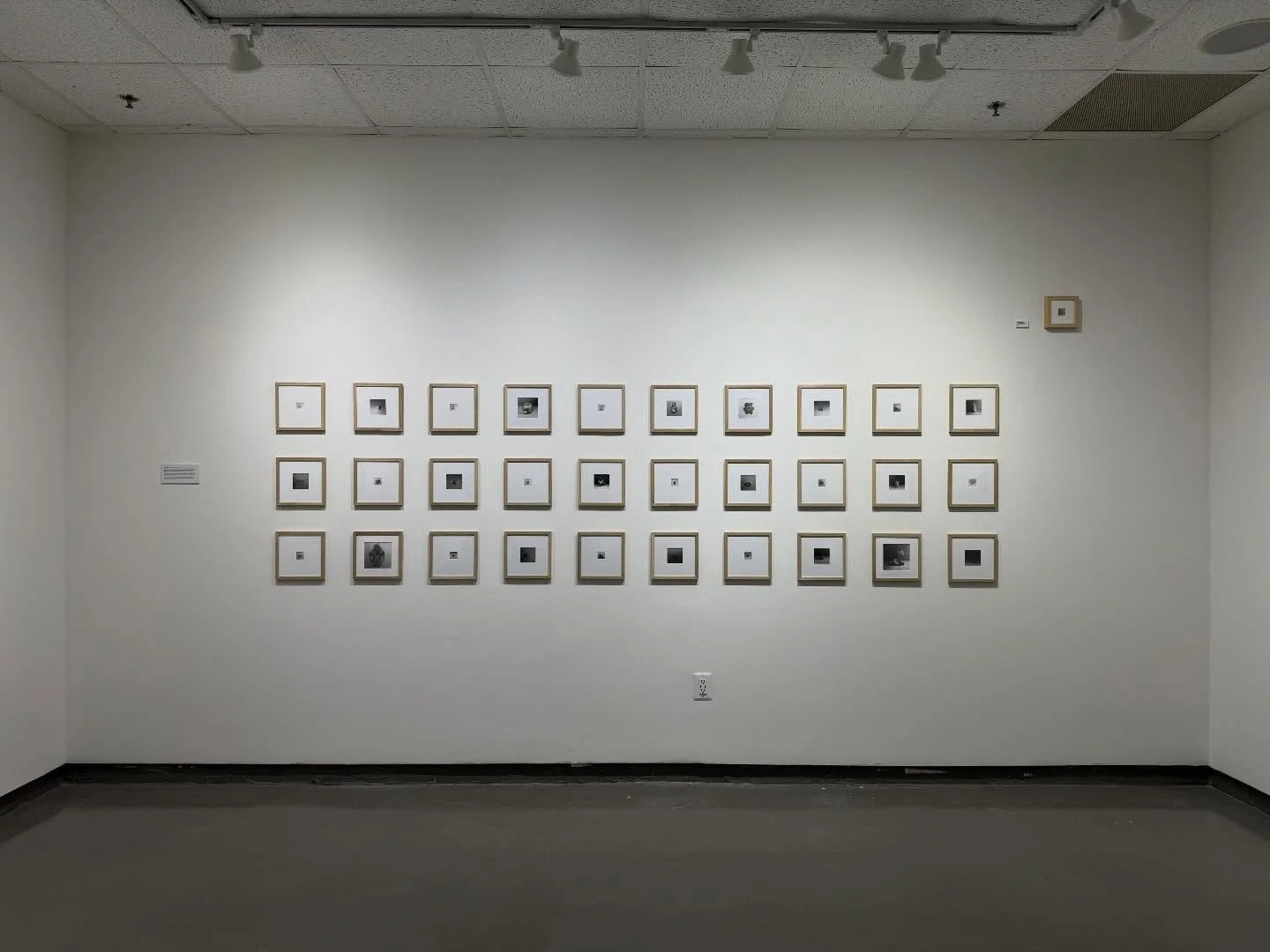 Tonight is the VIP preview for @doodledrawing #mfa exhibition @gsu_artdesign @gsuarts 

OBSESSIONS
March 30th - April 3rd, 2026
Gallery 130, 10 Peachtree Center Ave SE, Atlanta, GA 30303
Collectors Preview/Artist Talk:
March 31st, 2026 (4:00-5:30PM)
