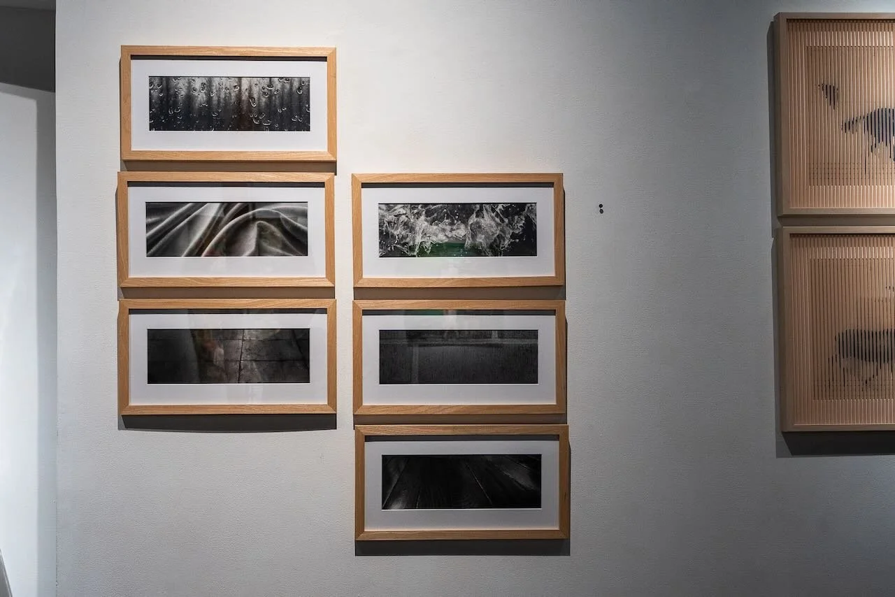 2026-09-26_KAI-LIN-ART_VIBRANCY_VAL02761.jpeg