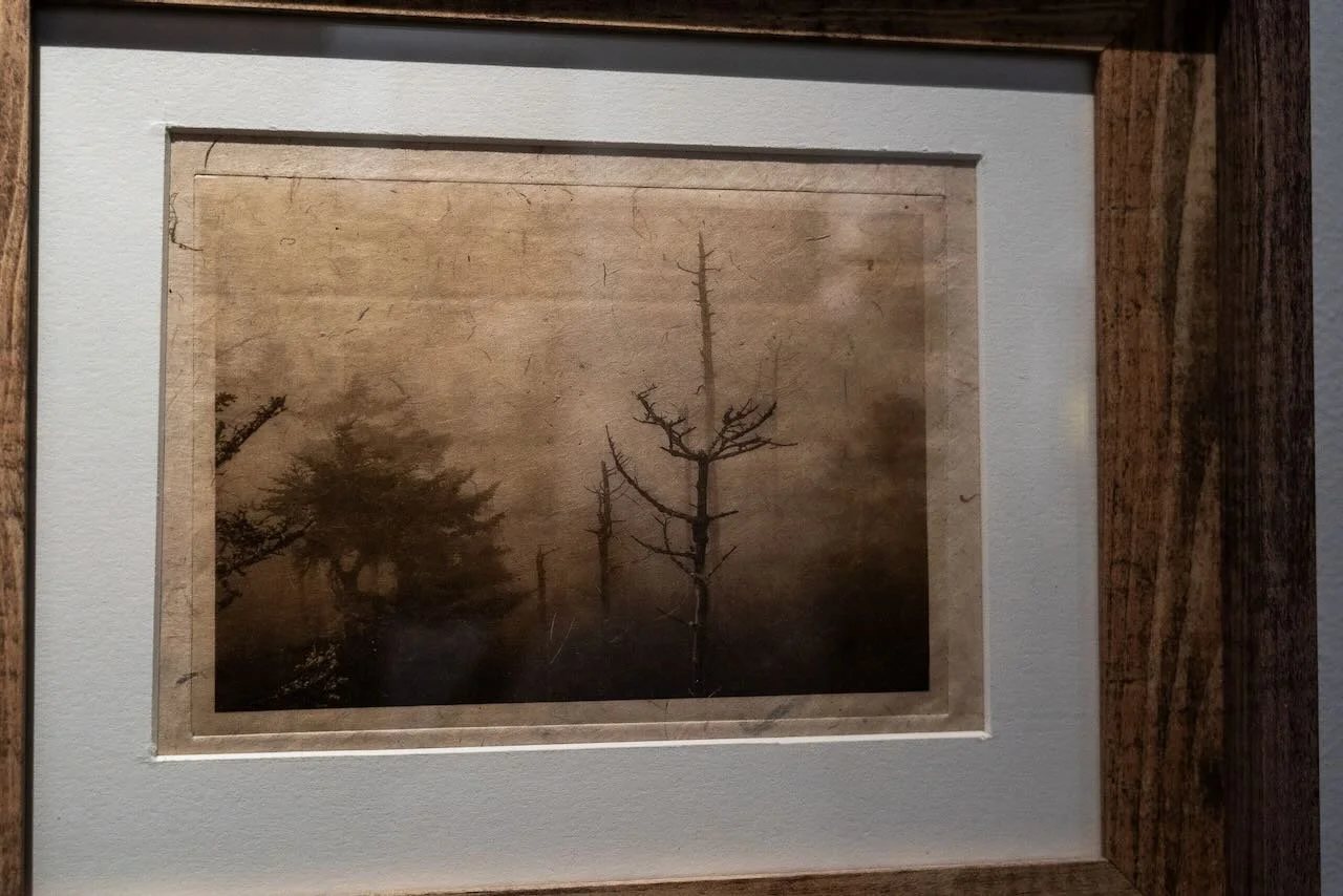 2026-09-26_KAI-LIN-ART_VIBRANCY_VAL02723.jpeg