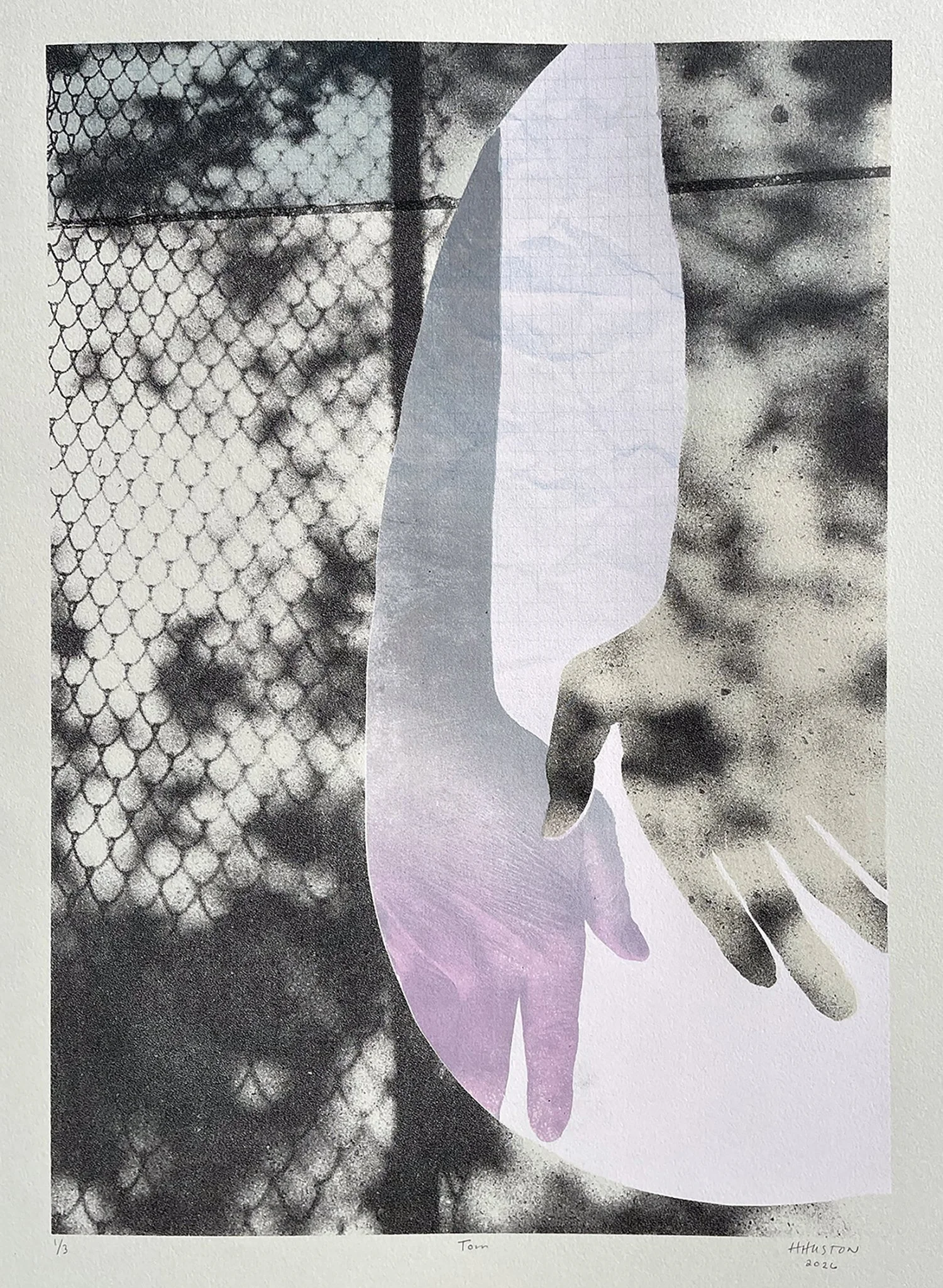 Huston_Heather_Torn_silkscreen_30x22.jpg