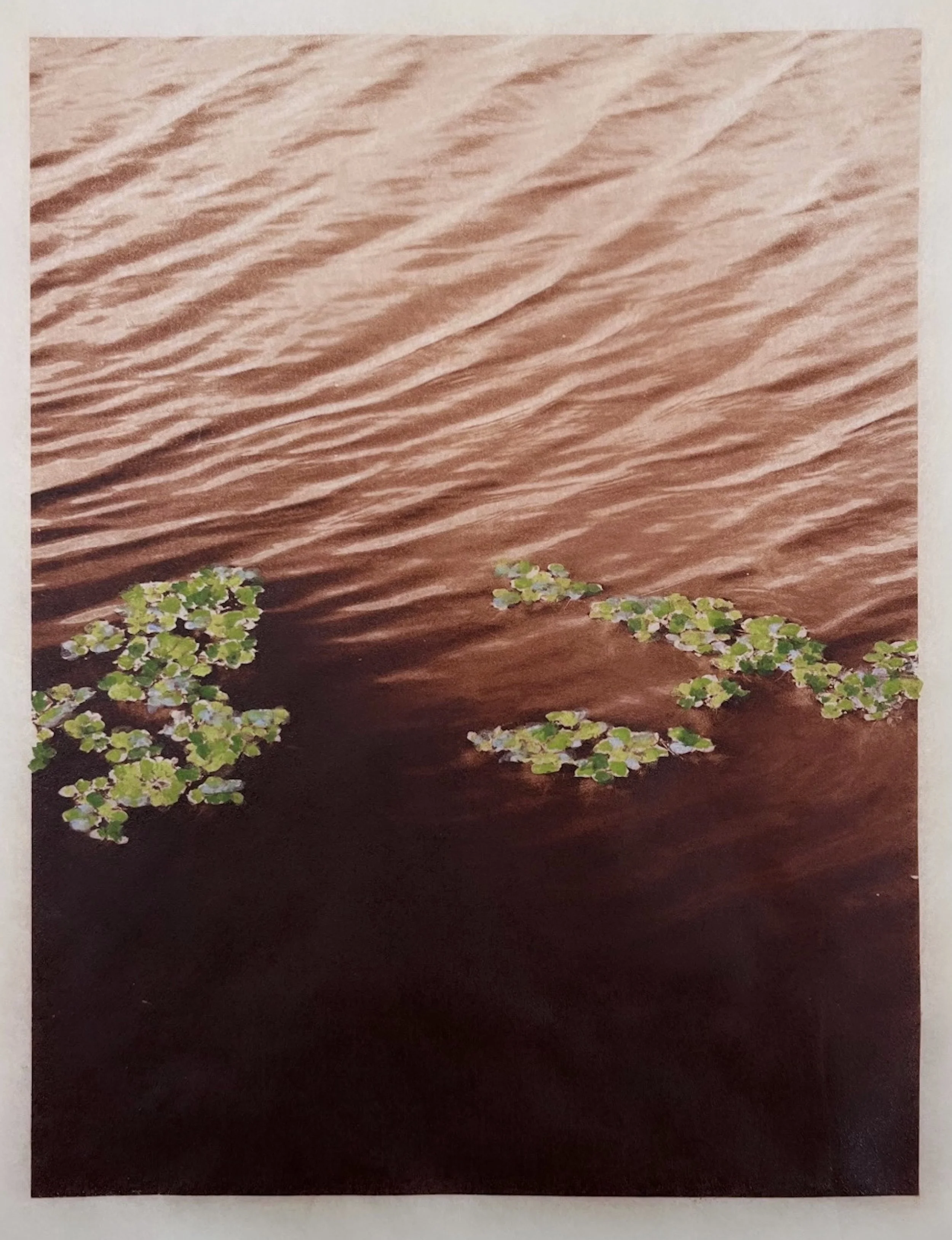 Johnson_Allison_Fresh_Water_Intaglio_14_x16_.jpg