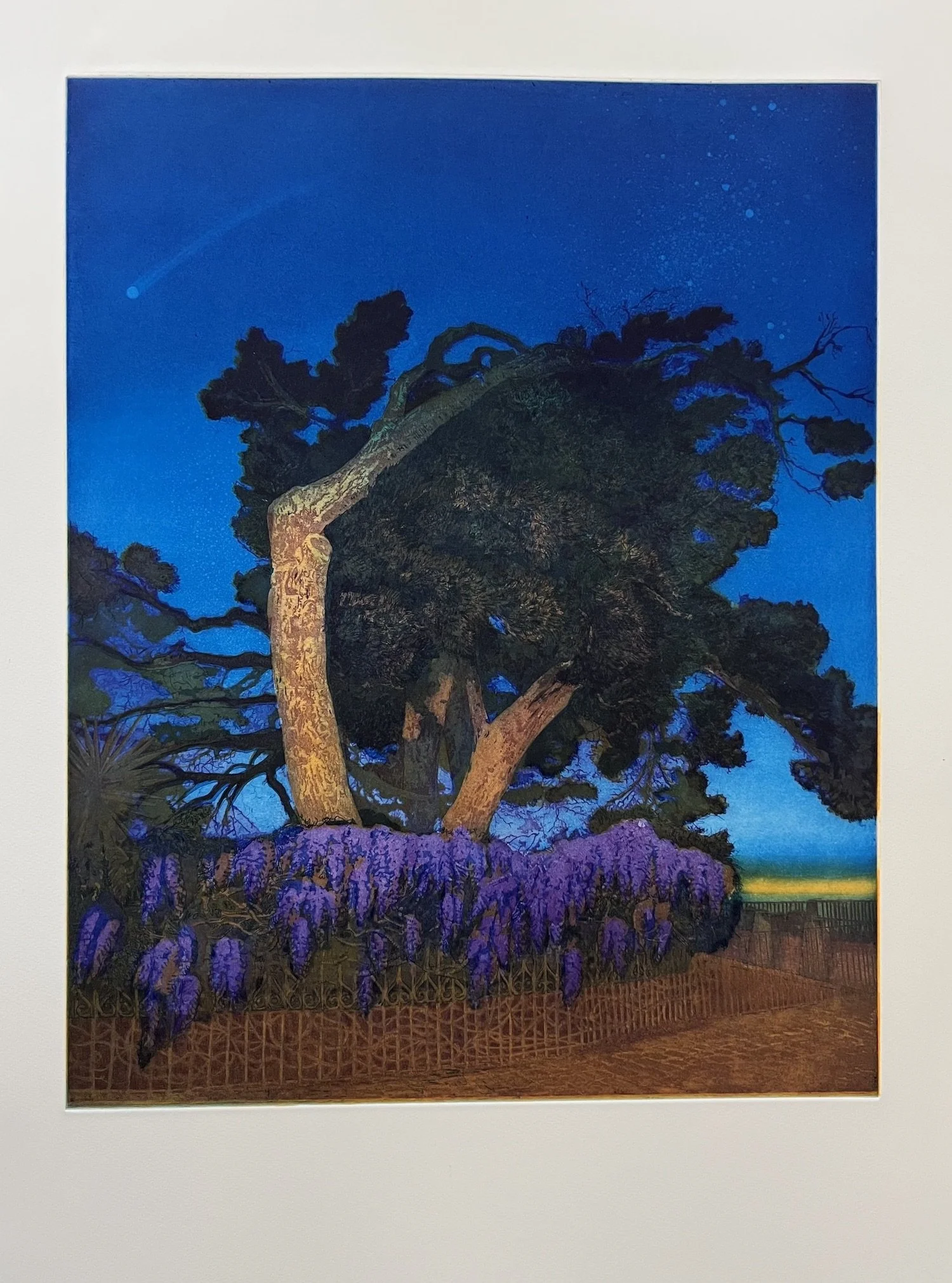 perrone_serena_last_light_etching_30x22.jpeg
