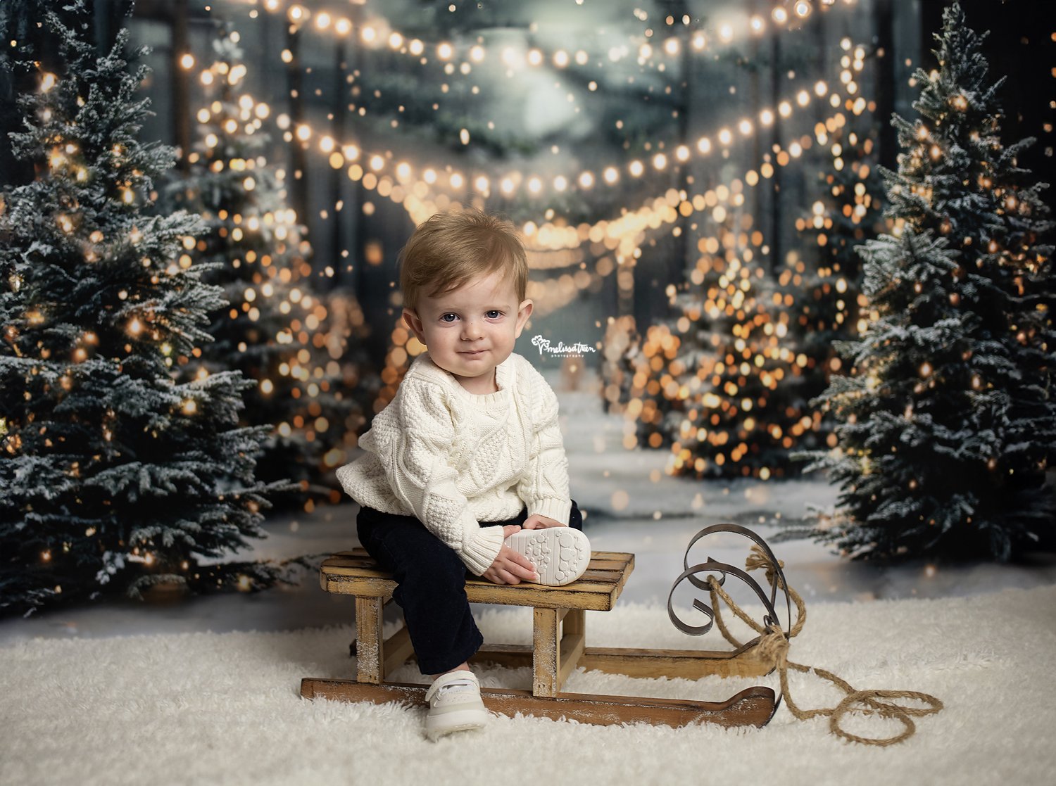 christmas-portraits-baby-photographer-mebane-greensboro-chapel hill-nc.jpg
