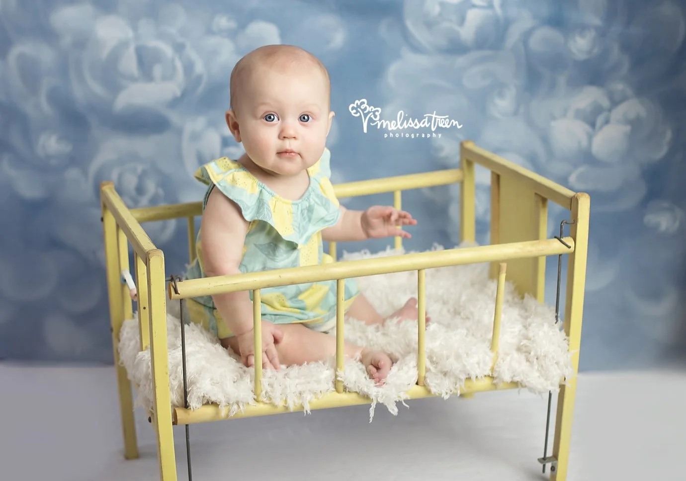 6 month baby photography gibsonvlle graham burlington nc photographer