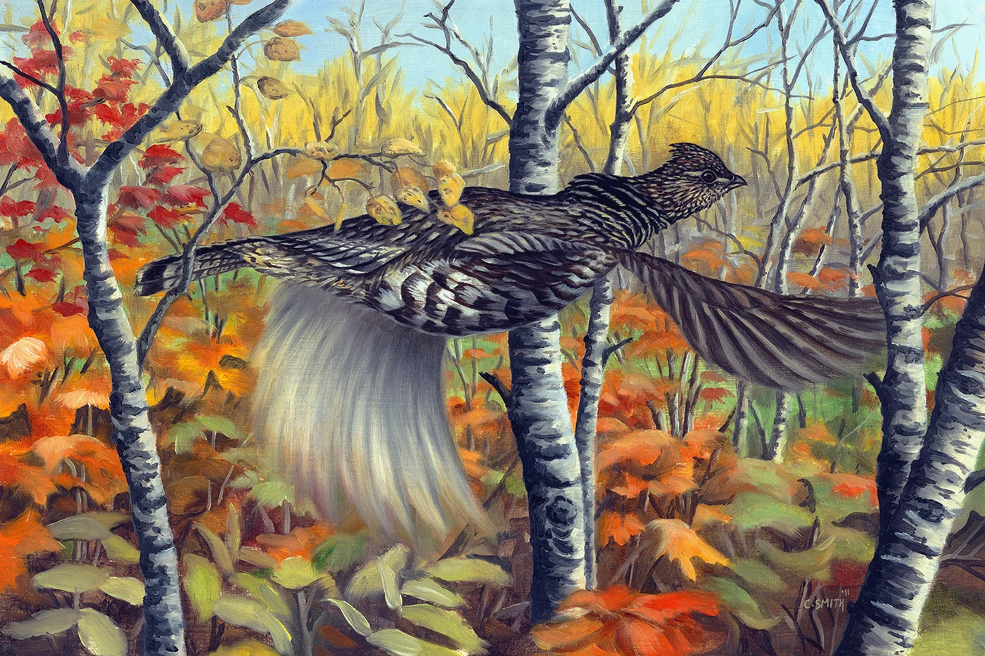 ColorsofOctober.JPG