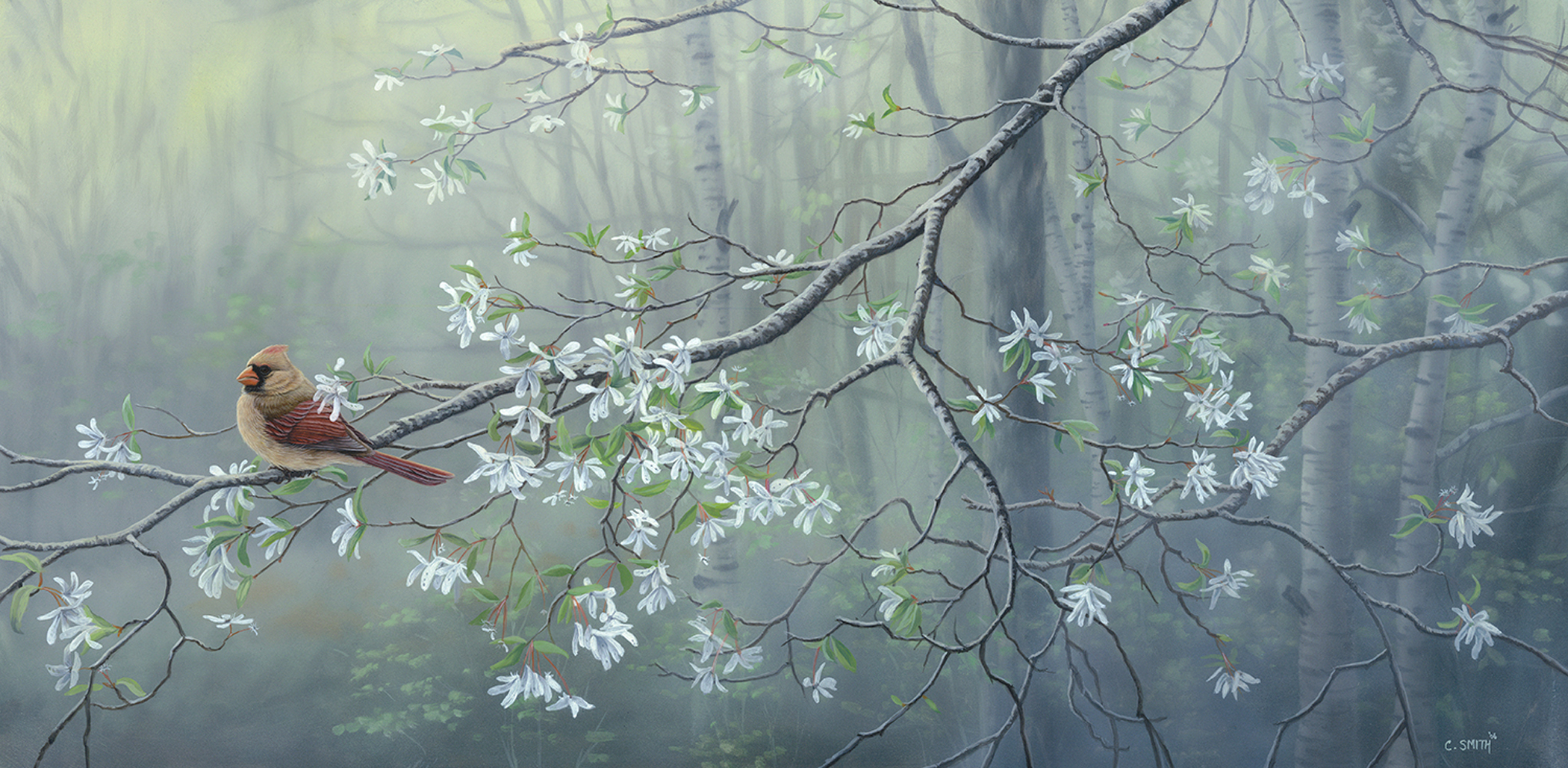Spring Morning Vigil I.JPG