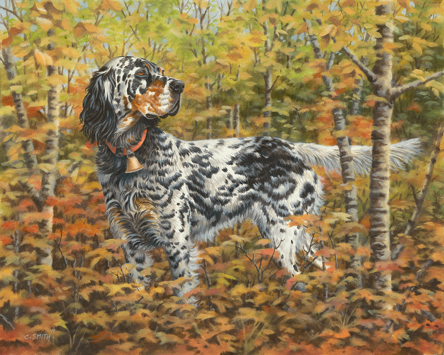 ruby english setter.jpg